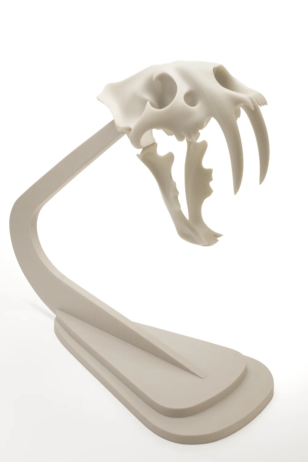 Sabre Tooth