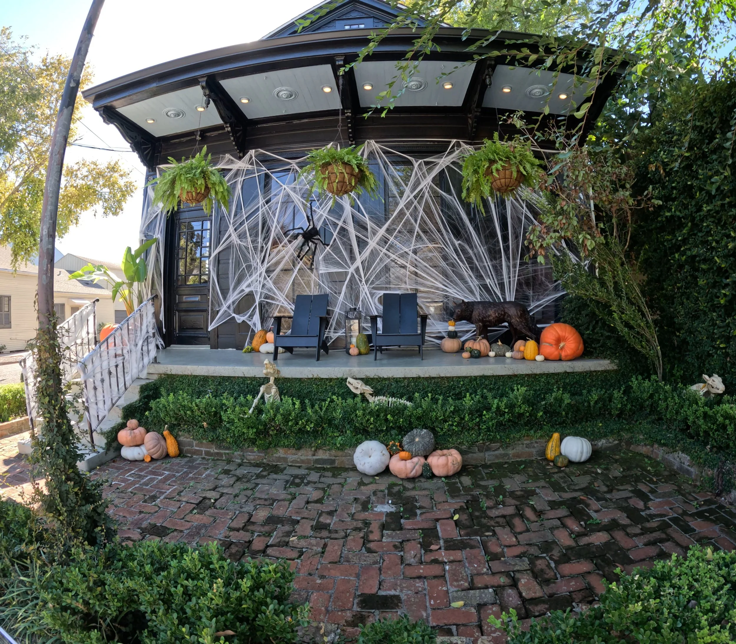 Business on Magazine St. dressed up for Halloween