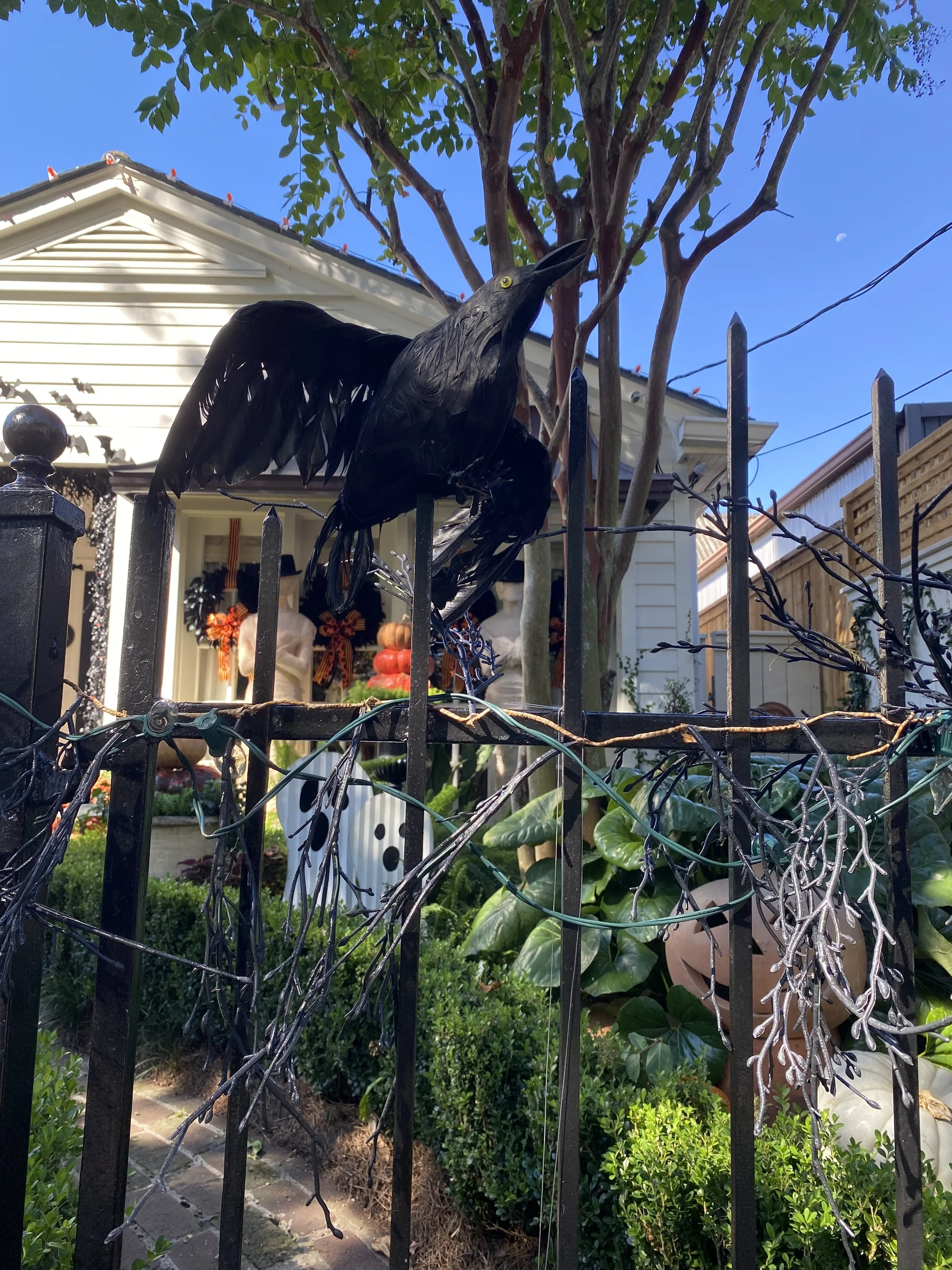 Detail of Halloween Decor in the New Orleans Neighborhood