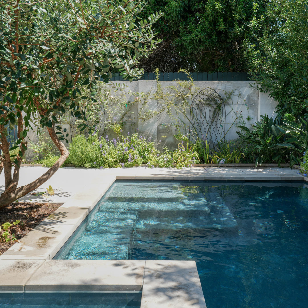 Webster Street Pool Garden, 2026