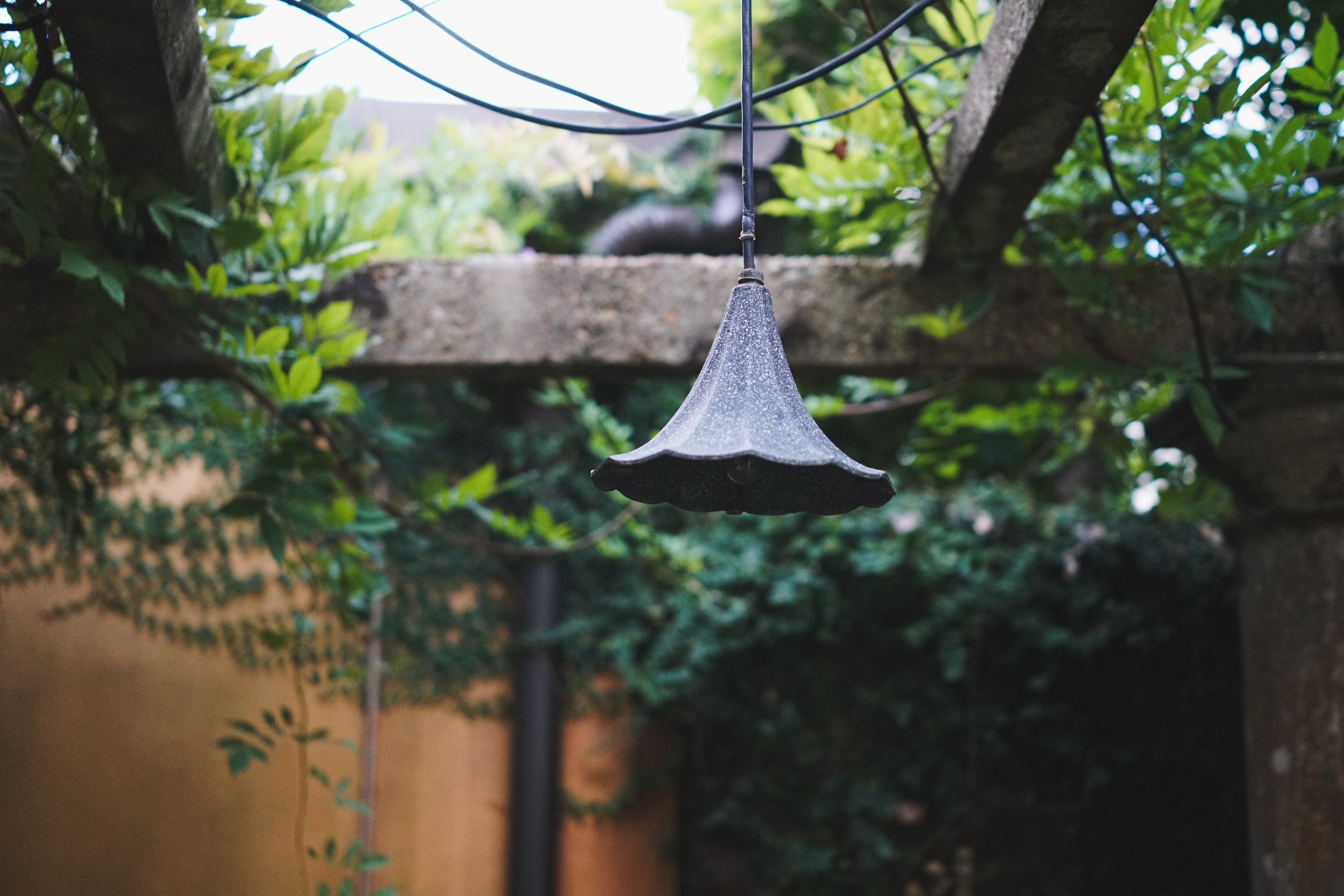 Cast-Iron Shade, 2026