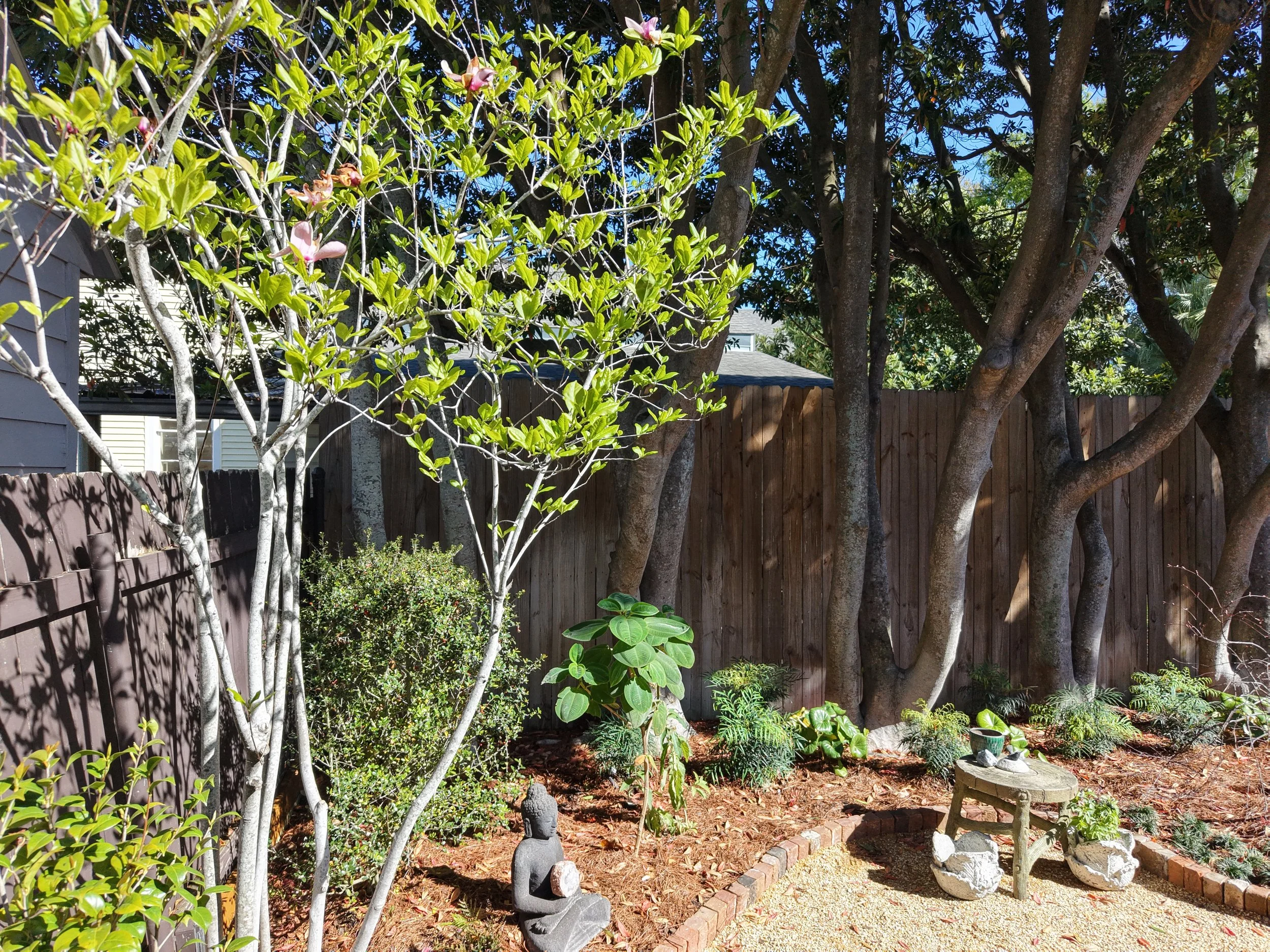 Garden Courtyard, 2026