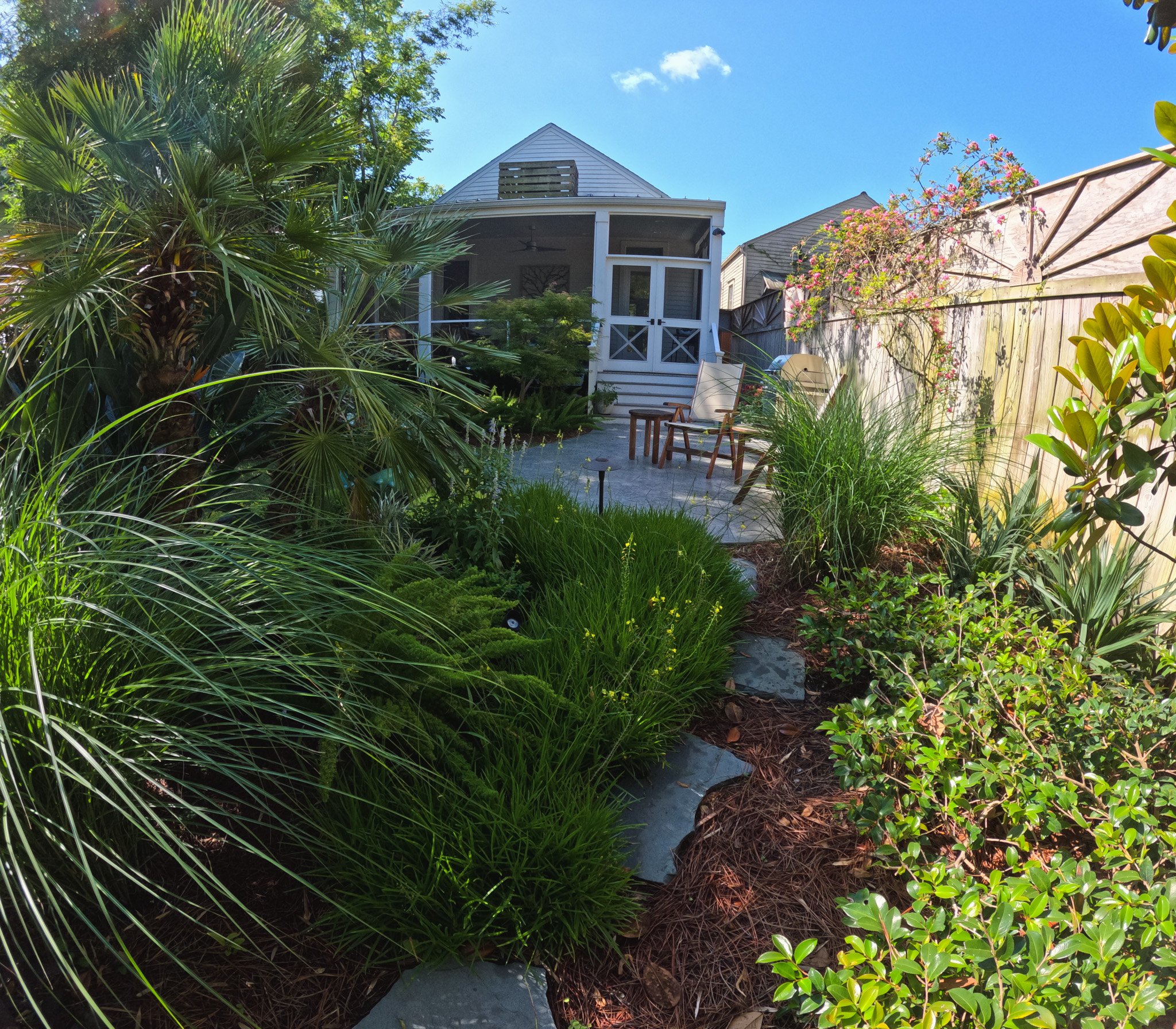 Rear Garden, 2026
