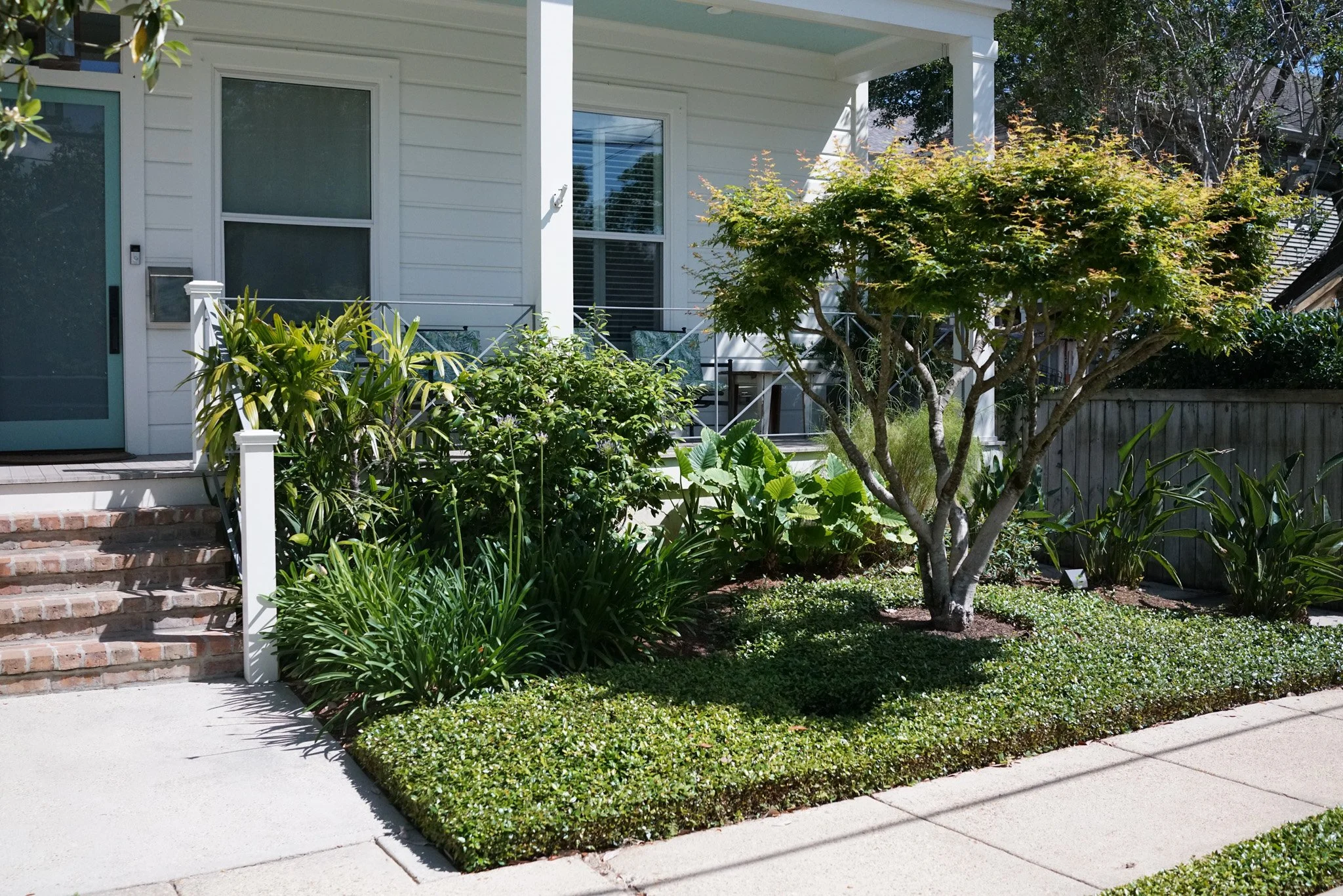 Front Garden, Camp Street 2026