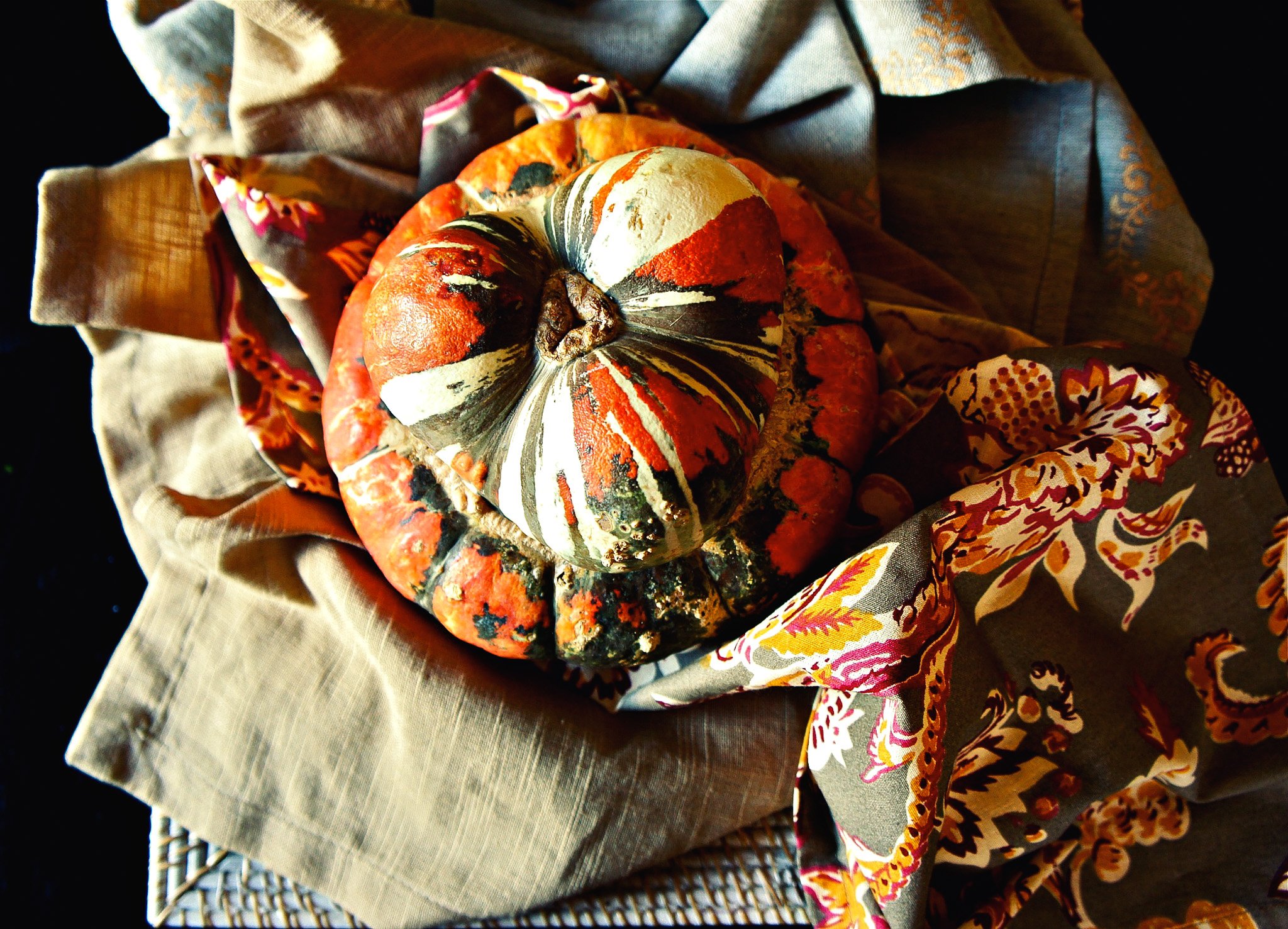 Turks Turban Squash, 2014