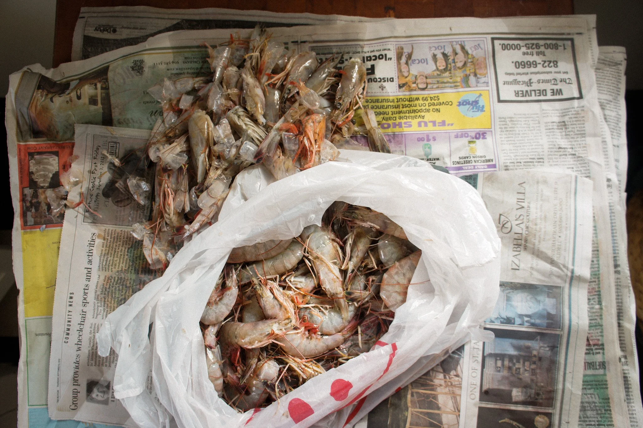 Fresh Shrimp, 2018