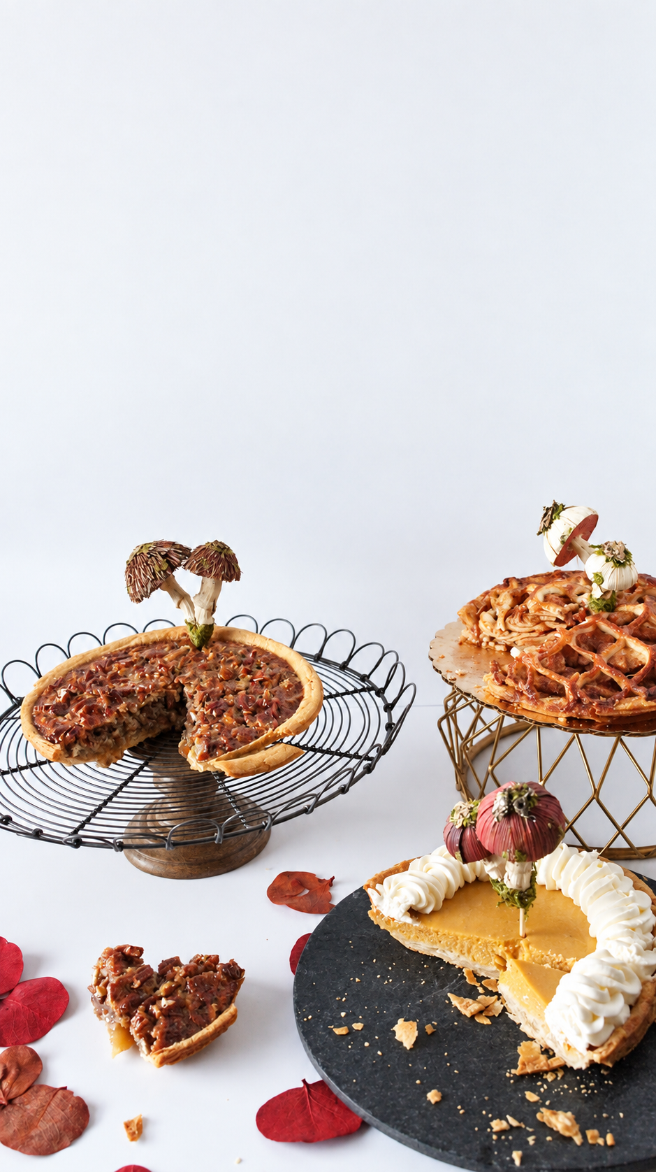 La Boulangerie holiday pies styled for More Salt, More Acid, 2015 — warm, strange, and just a little unruly.