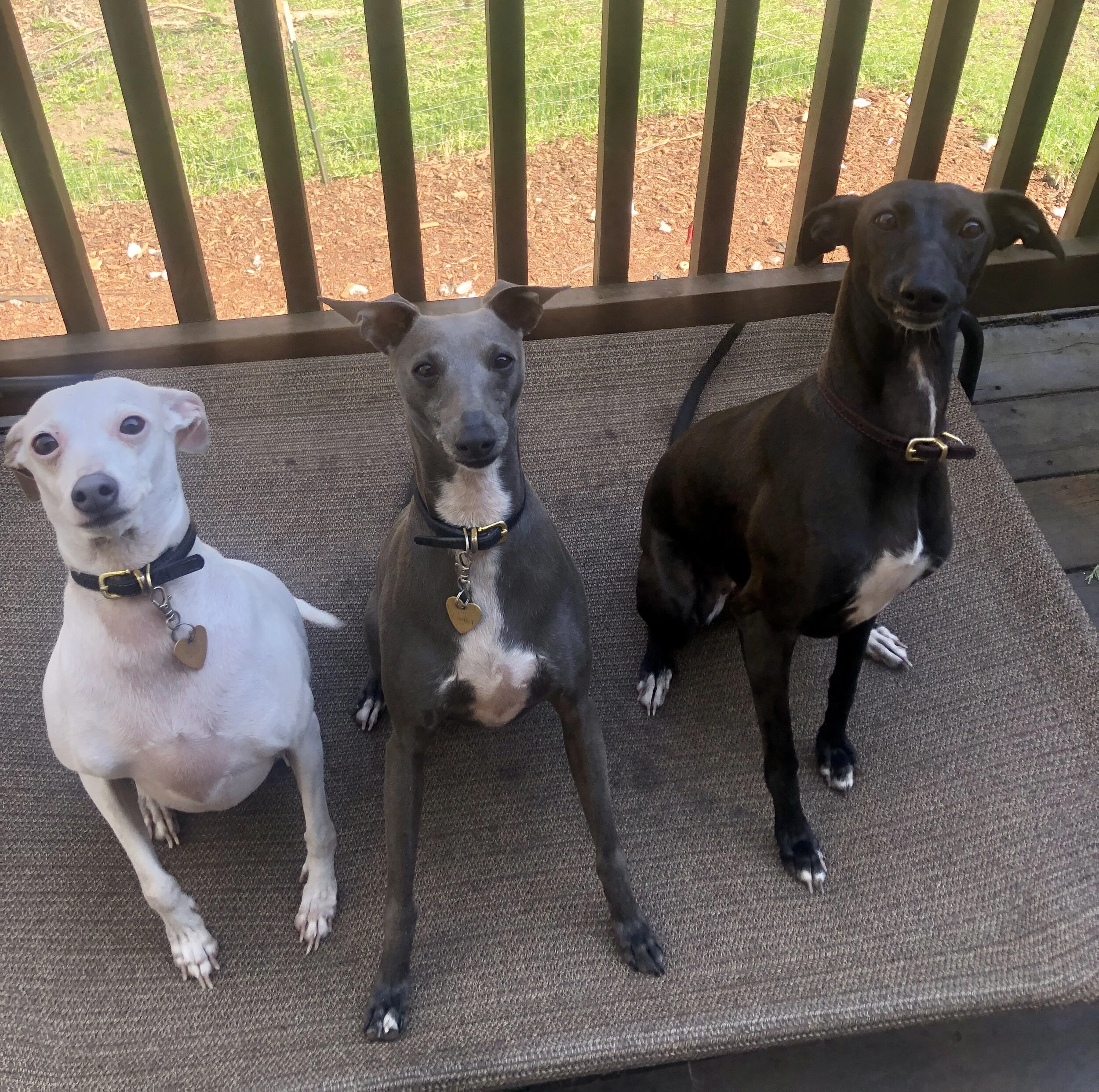 The Crew in the Spring