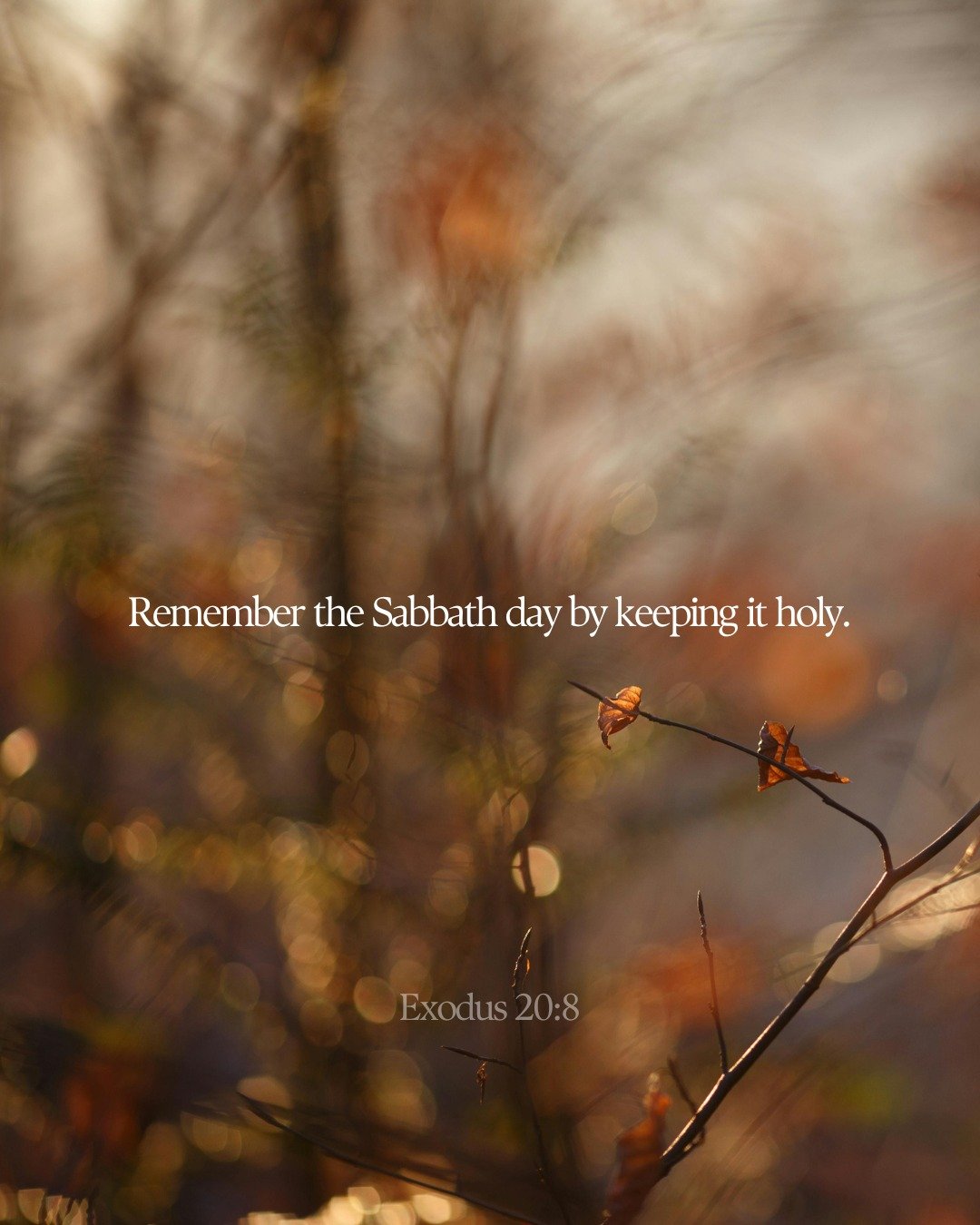 Sabbath is demonstrated from the very beginning of the world. But sabbath is not about stopping productivity - it&rsquo;s about stopping to remember who really sustains our lives. Sabbath is the resistance against hurry and trust in God&rsquo;s provi