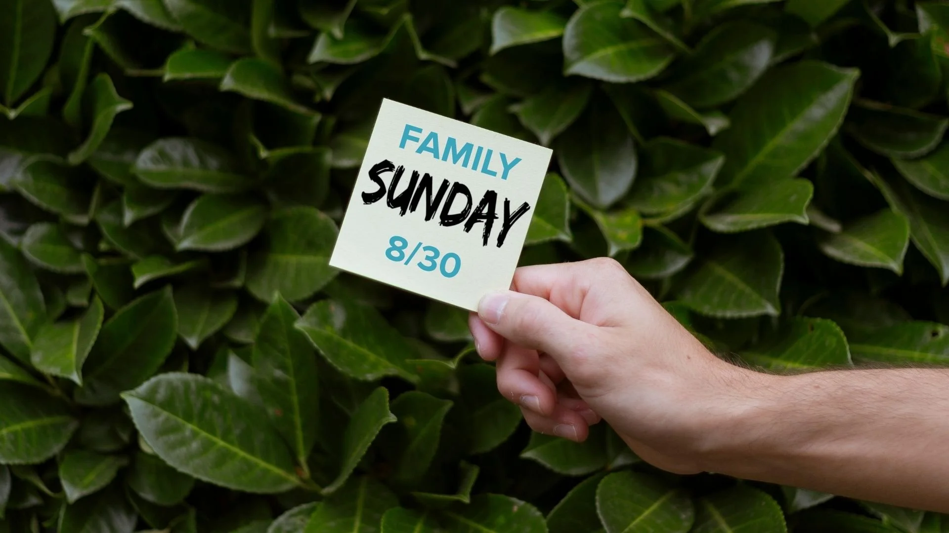 Family Sunday