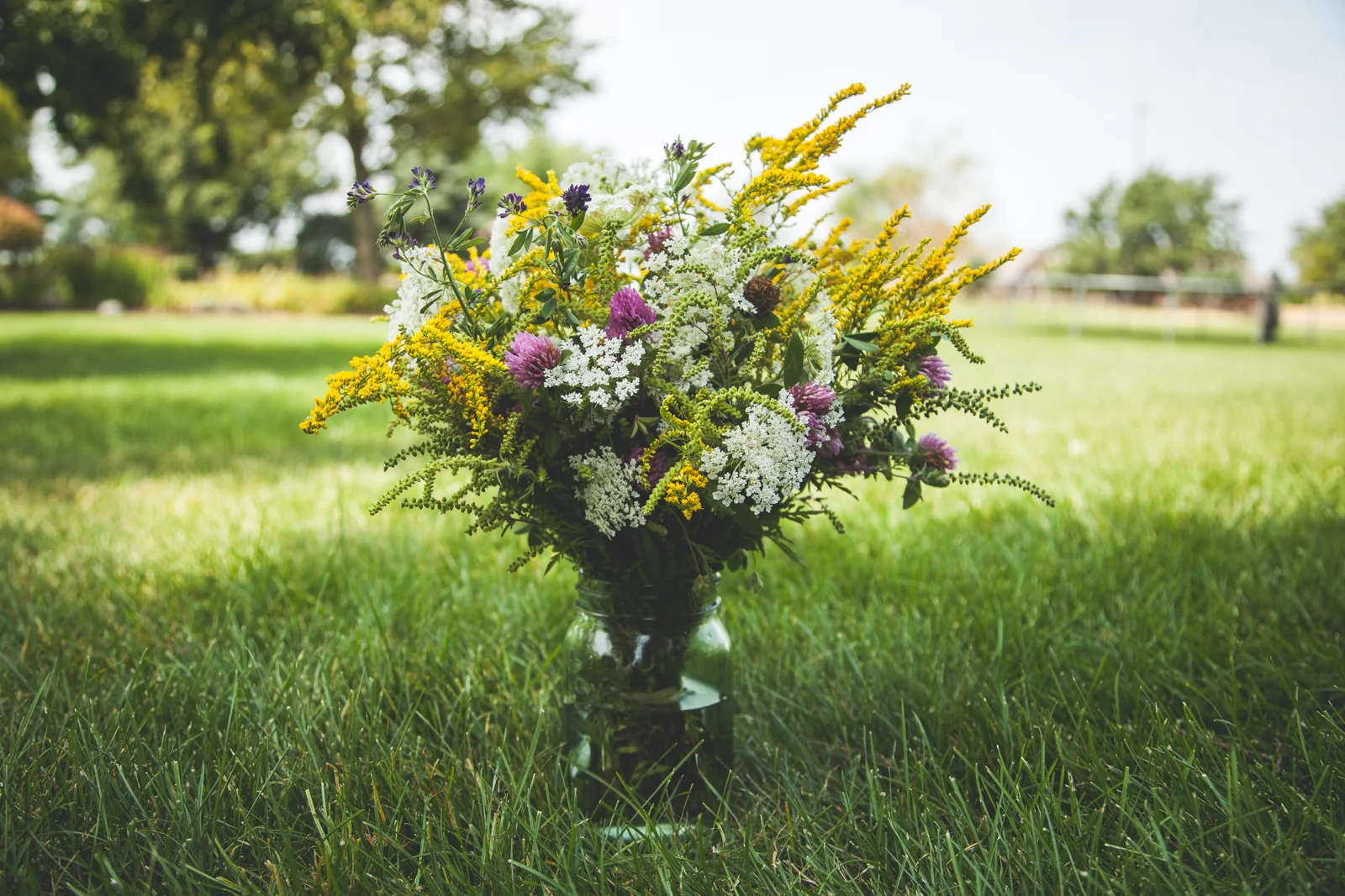 WildflowersPart2-sm-0551.jpg