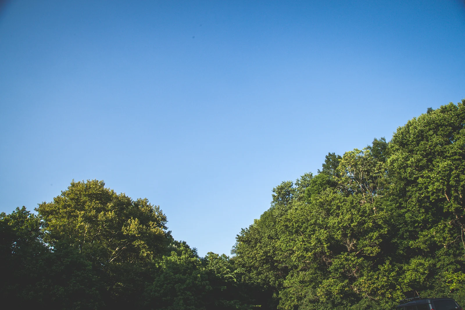 Project52-Week29-Nature-0096.jpg
