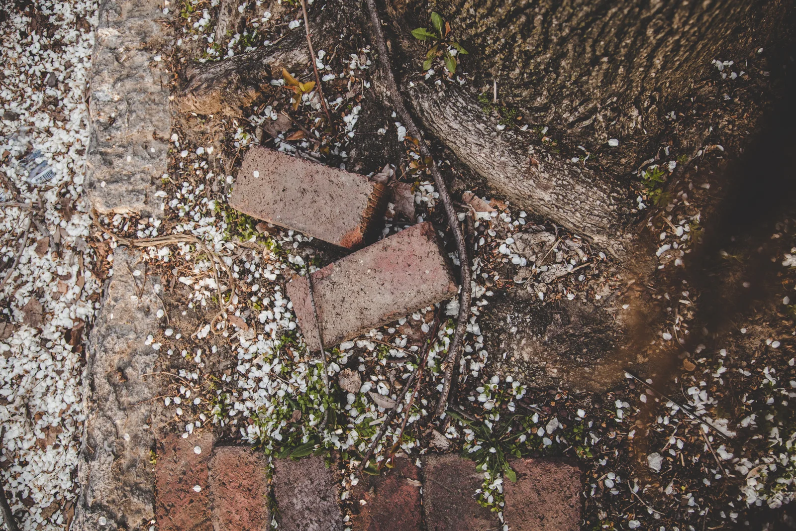 Project52-Week11-FromAbove-1.jpg