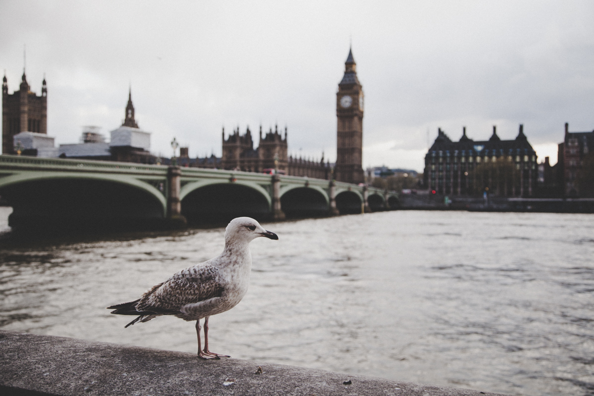 LondonDay4-48.jpg