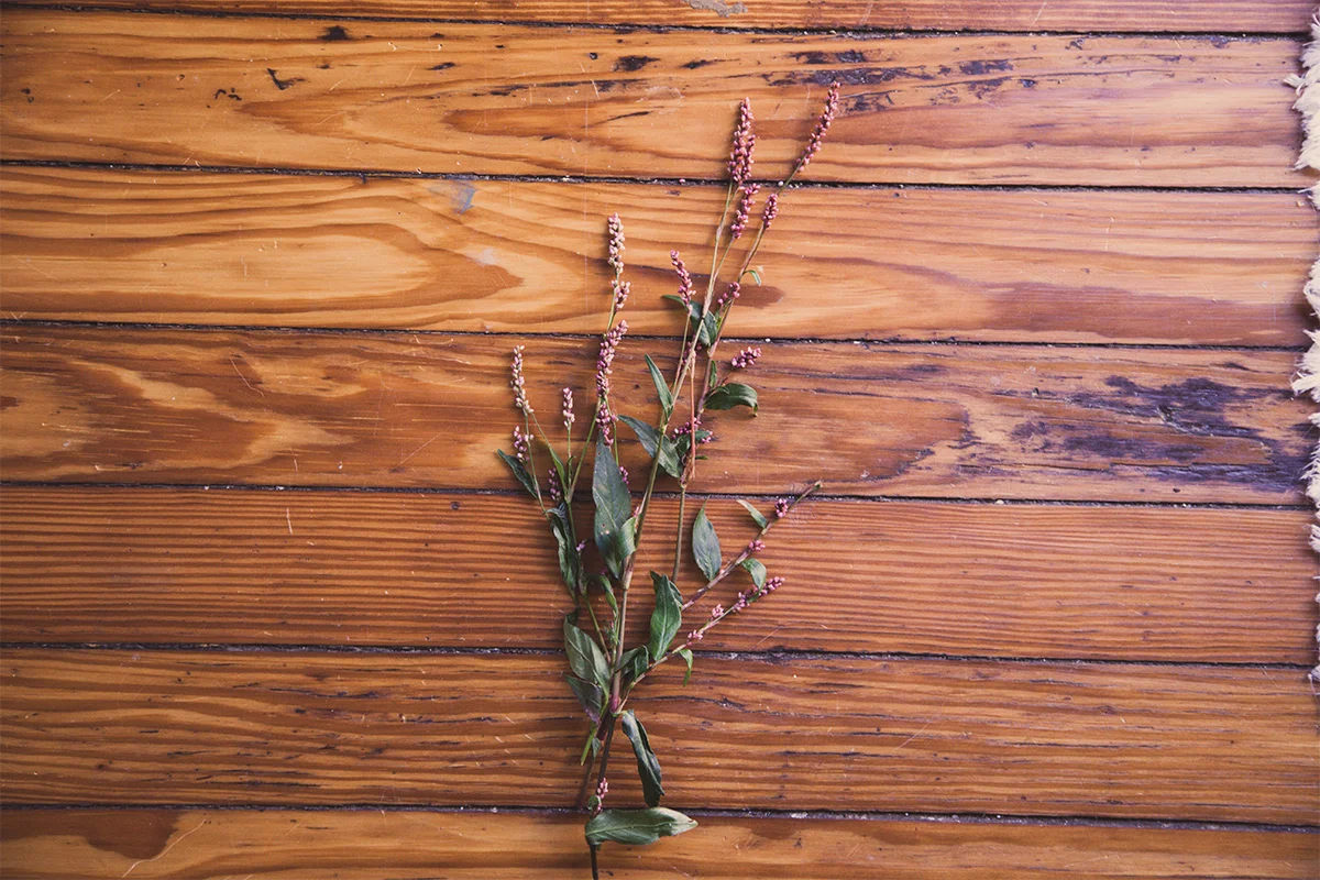 flower-1.jpg