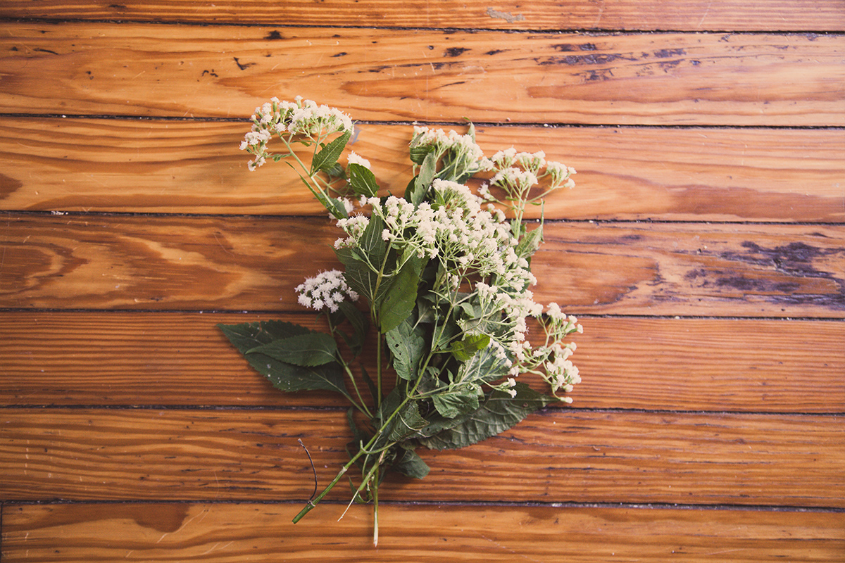 flower-3.jpg