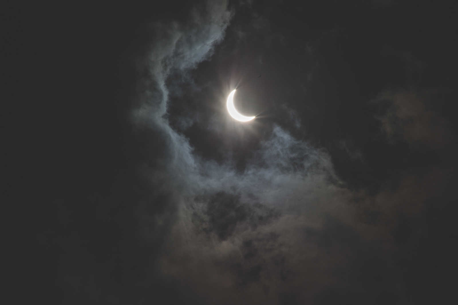 Eclipse2017-blog-0381.jpg