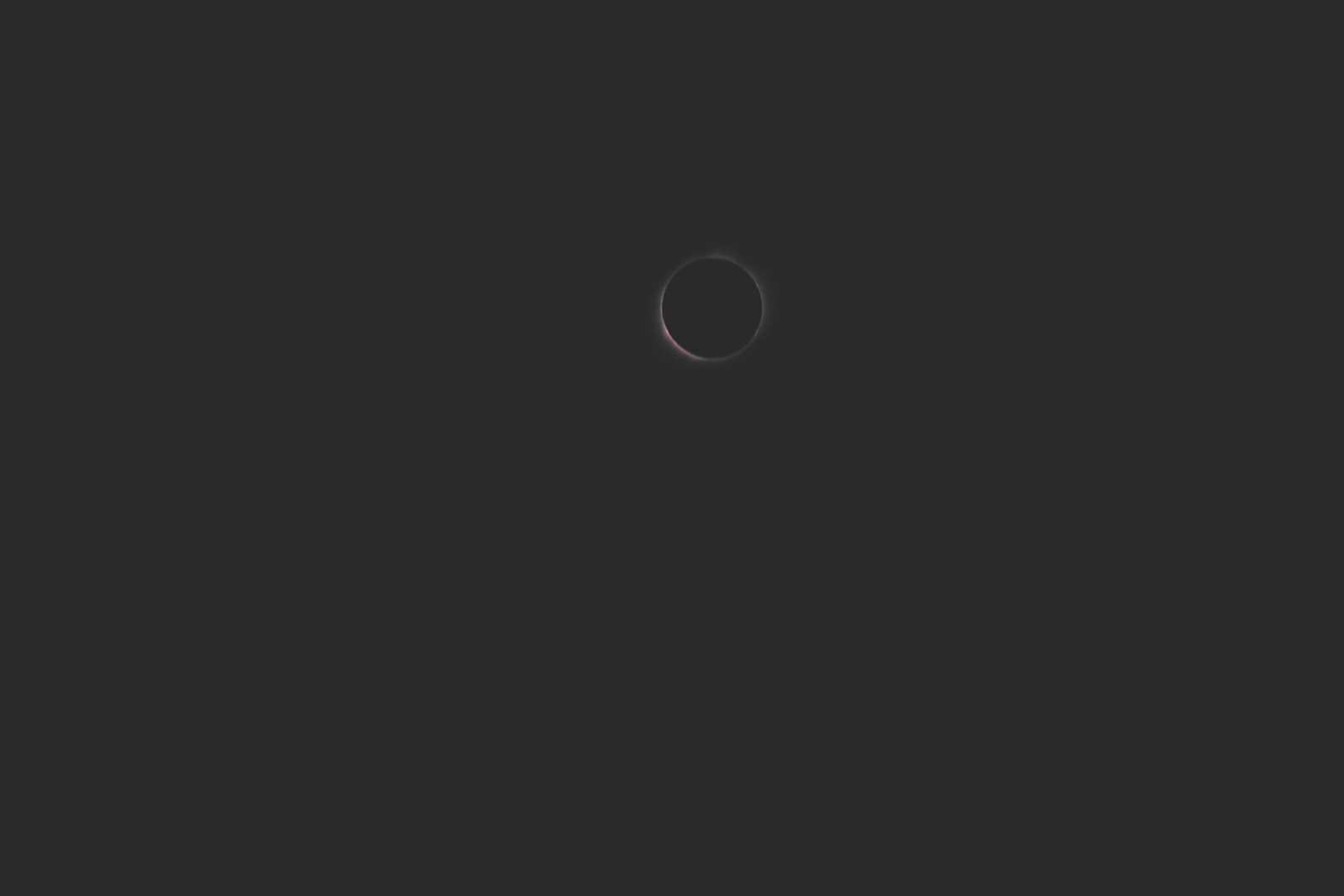 Eclipse2017-blog-0412.jpg