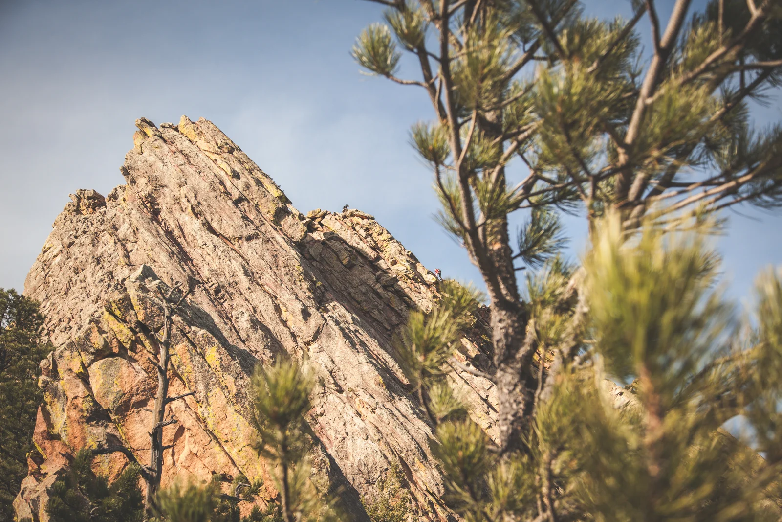 More Rock climbers!!