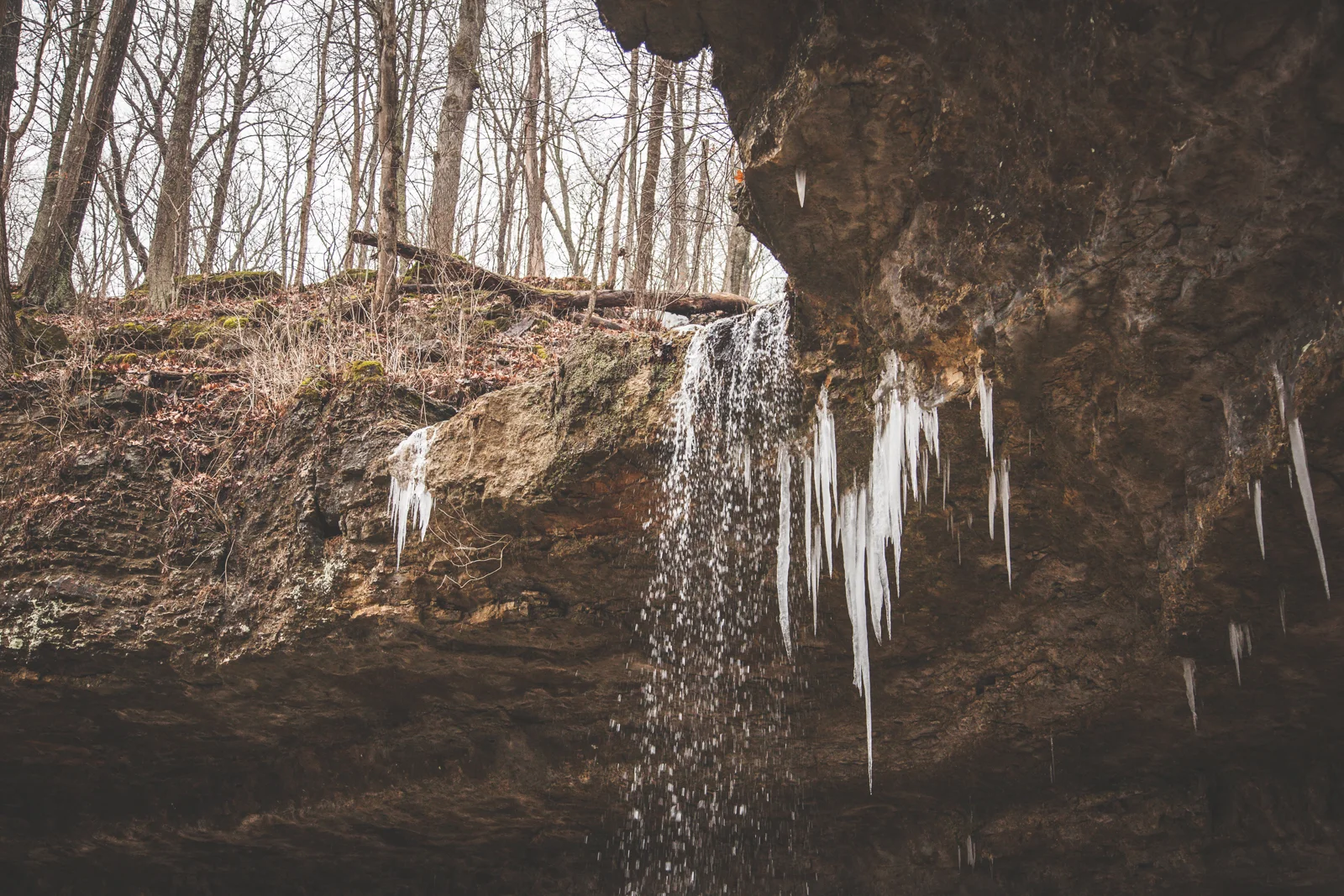 CharlestownStPark-Feb2018-blog-34.jpg