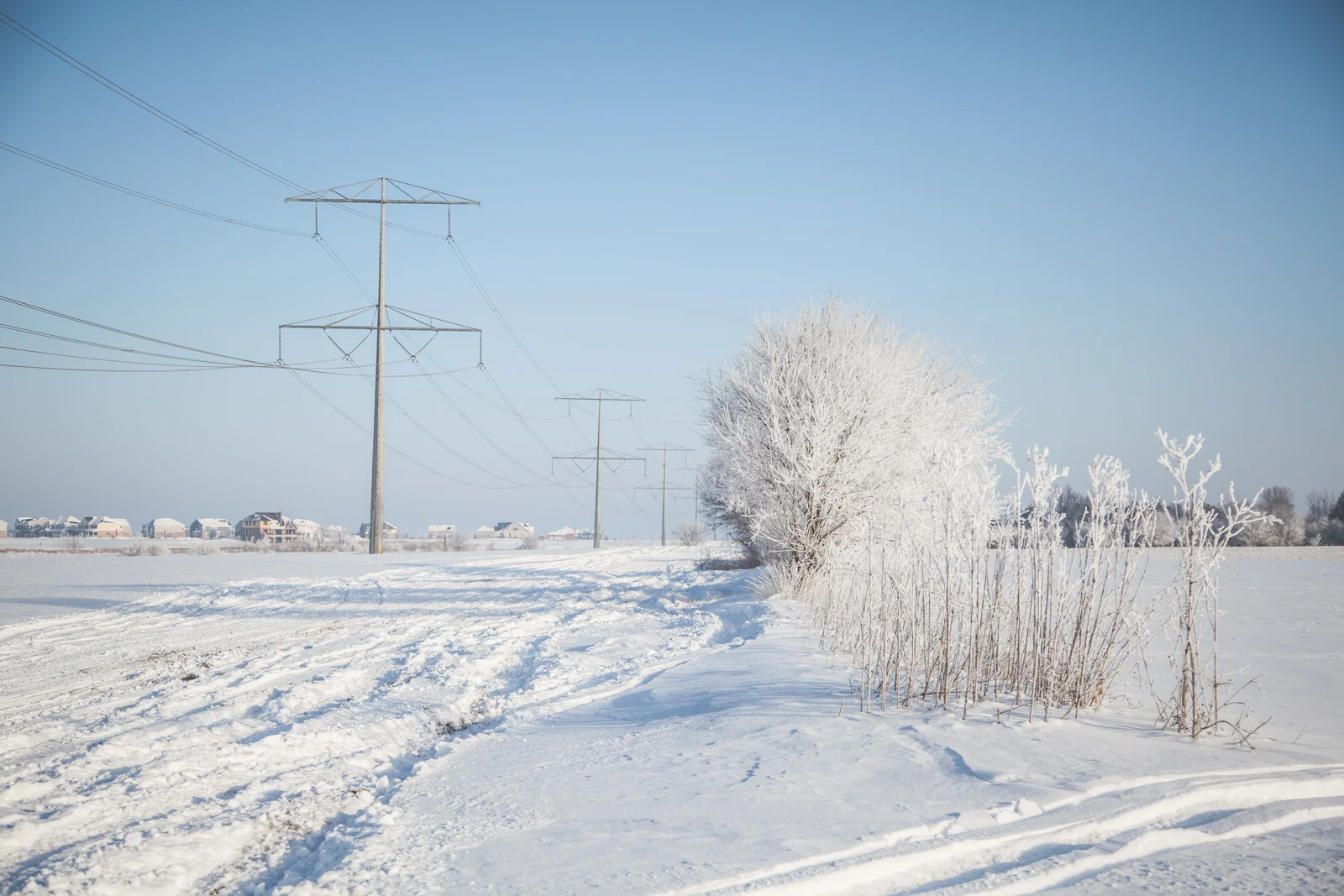 FrozenWonderland-Feb2018-blog-1.jpg