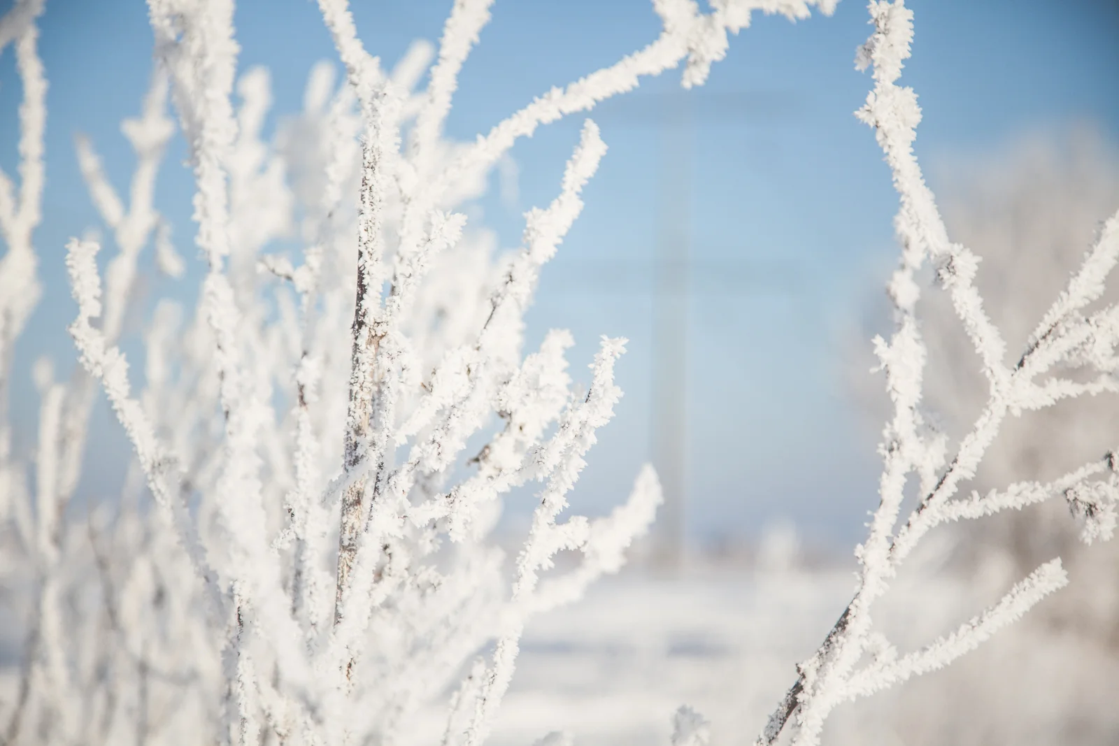 FrozenWonderland-Feb2018-blog-5.jpg