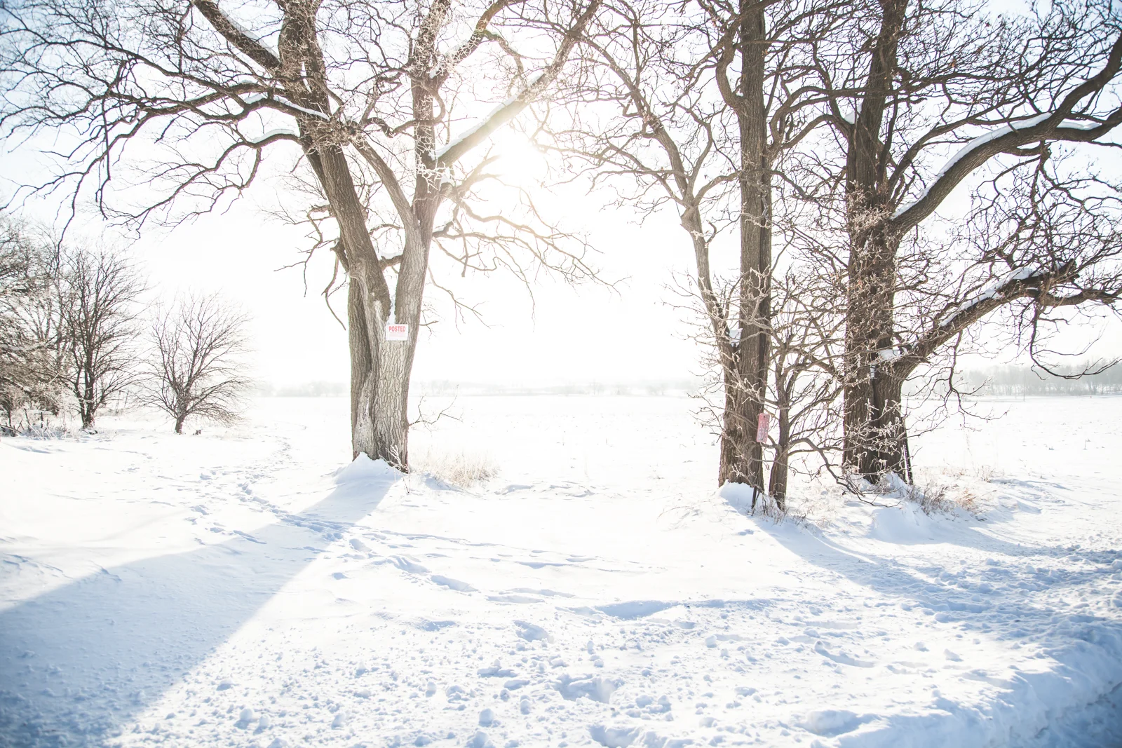 FrozenWonderland-Feb2018-blog-8.jpg