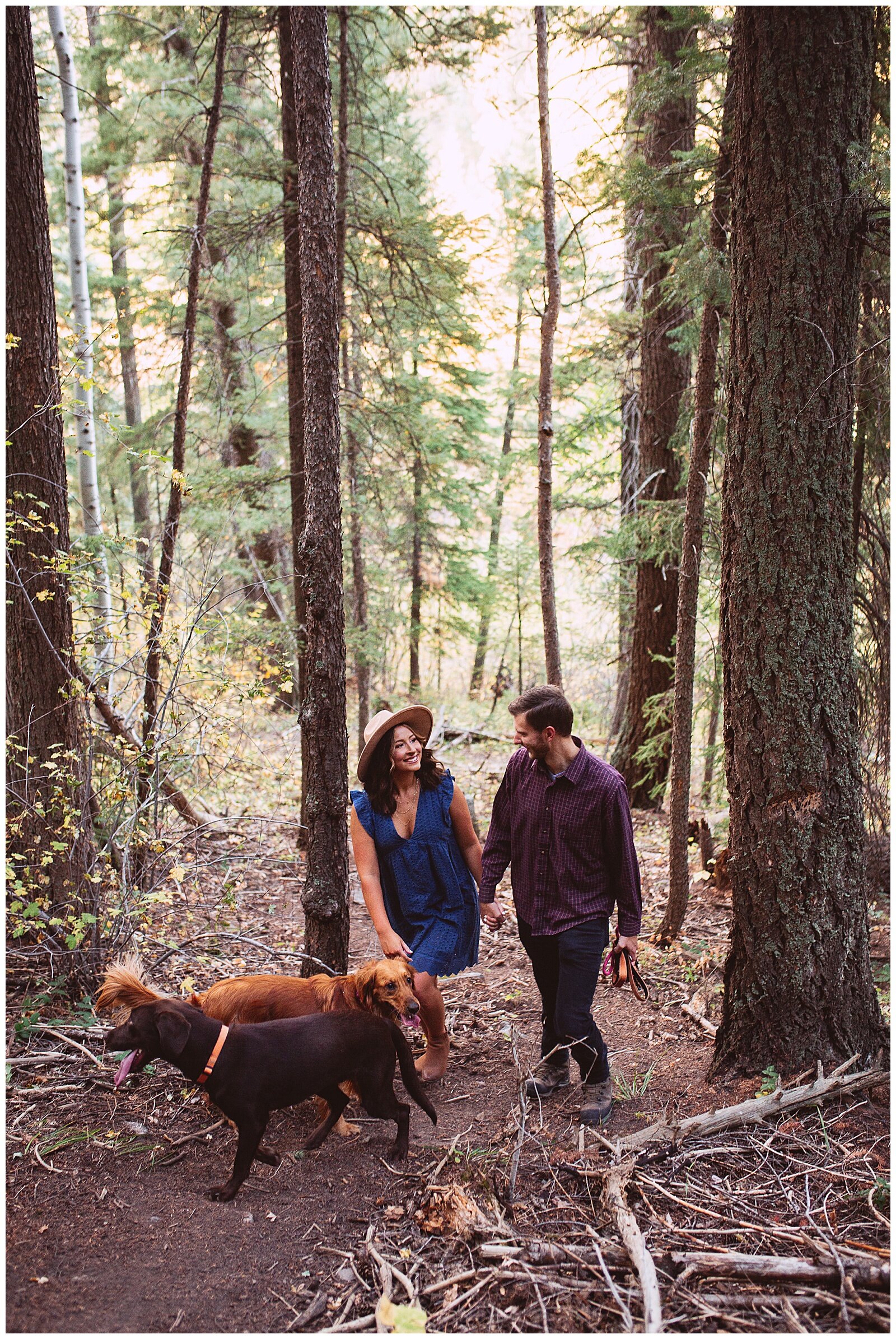 BLOG-pike-forest-colorado-adventure-session-kayla-tyler-202009-36_stomp.jpg