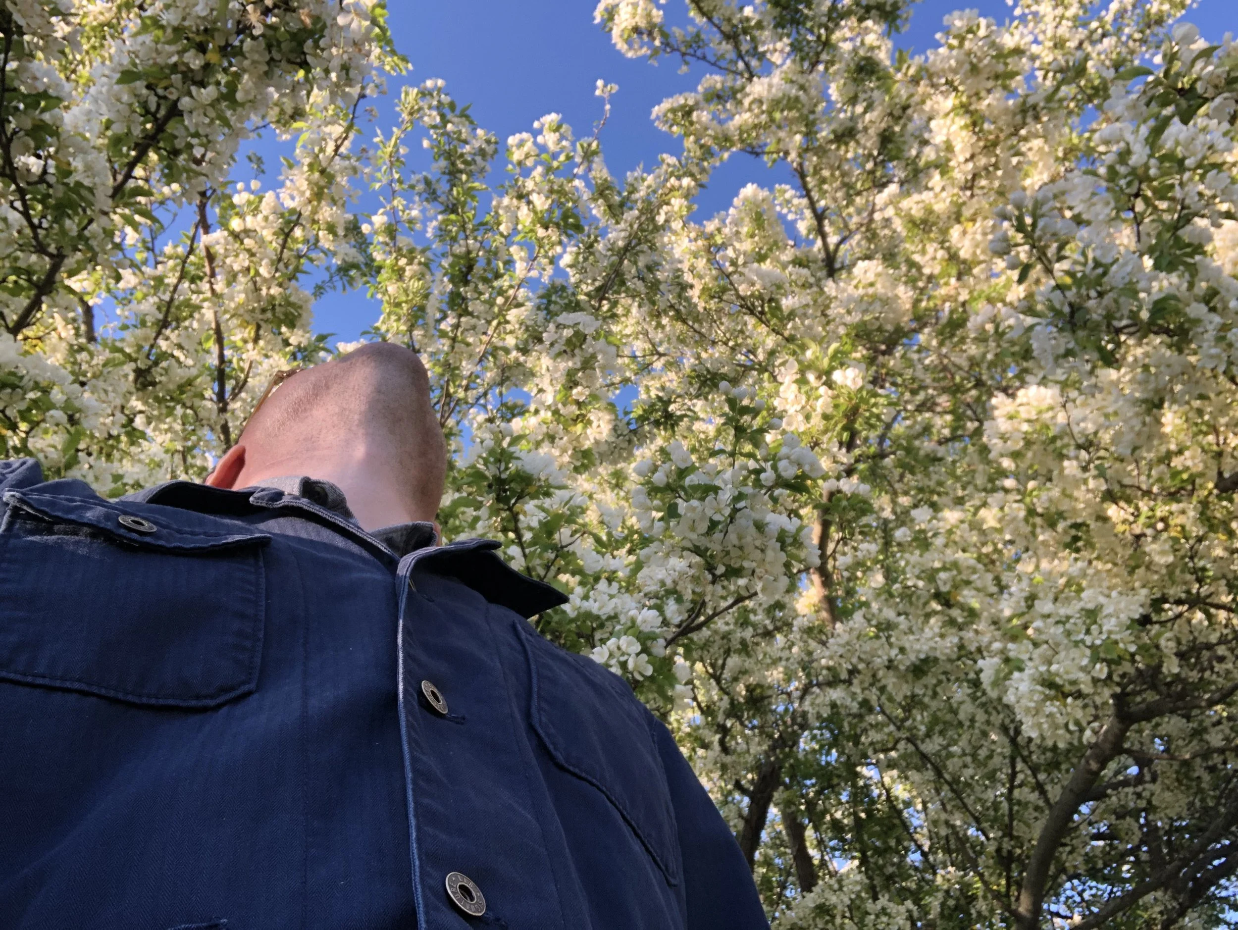 mark and the tree.jpg
