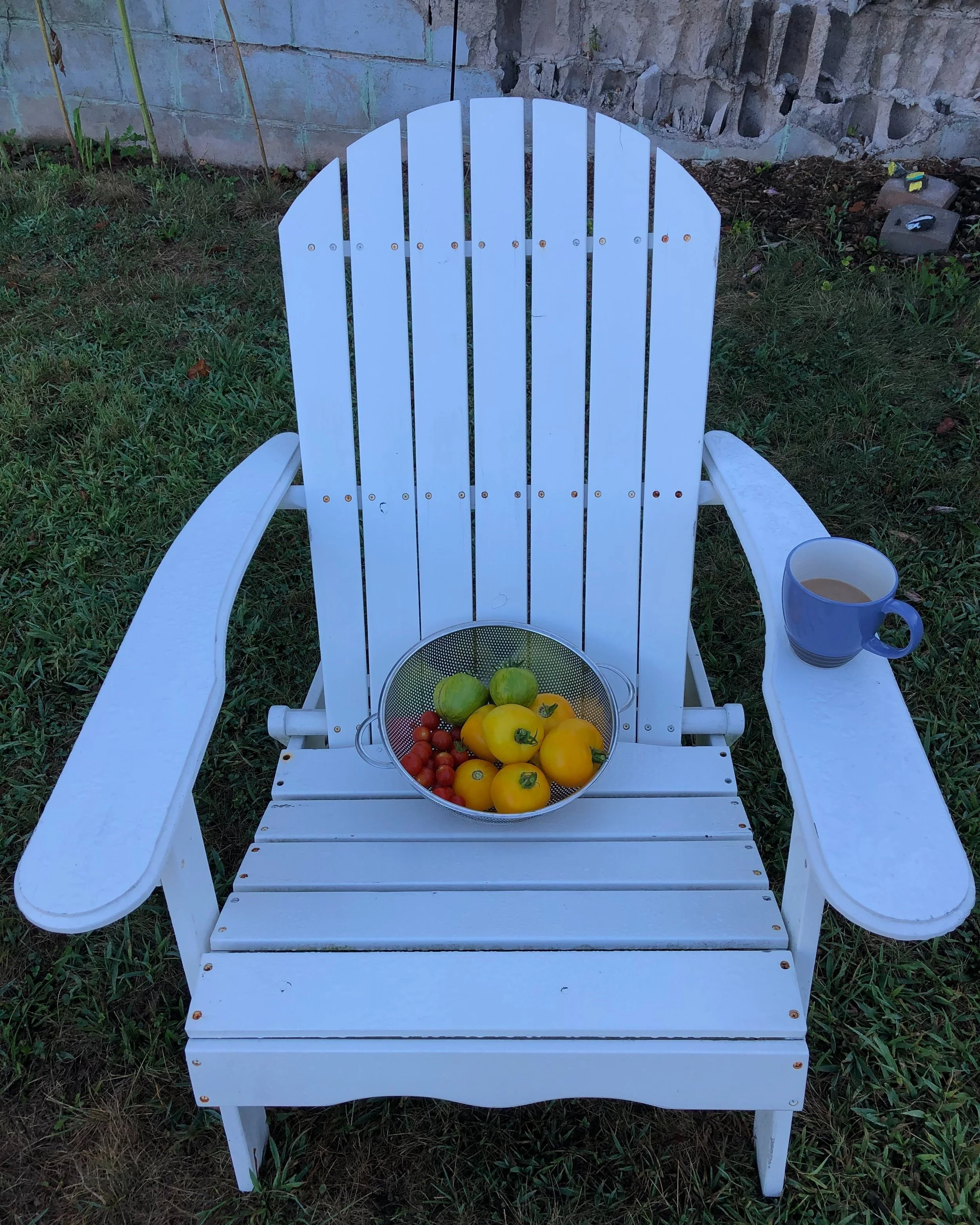 morning+harvest.jpg