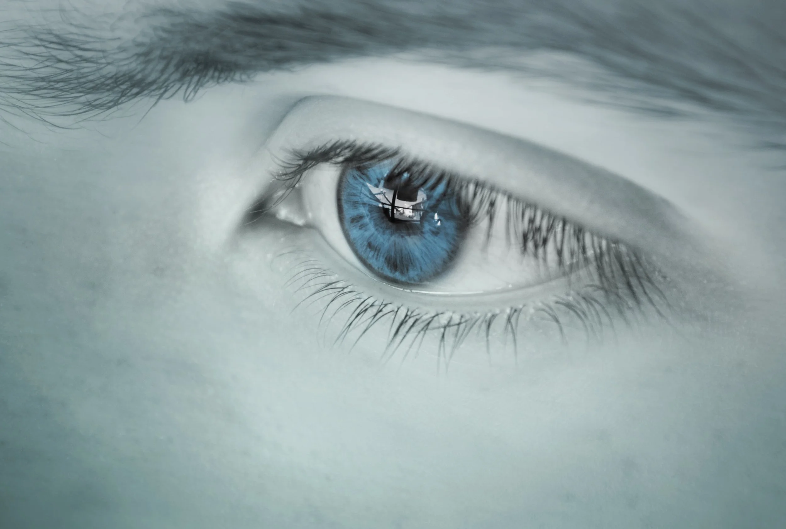 adult-beautiful-blue-color-281279.jpg