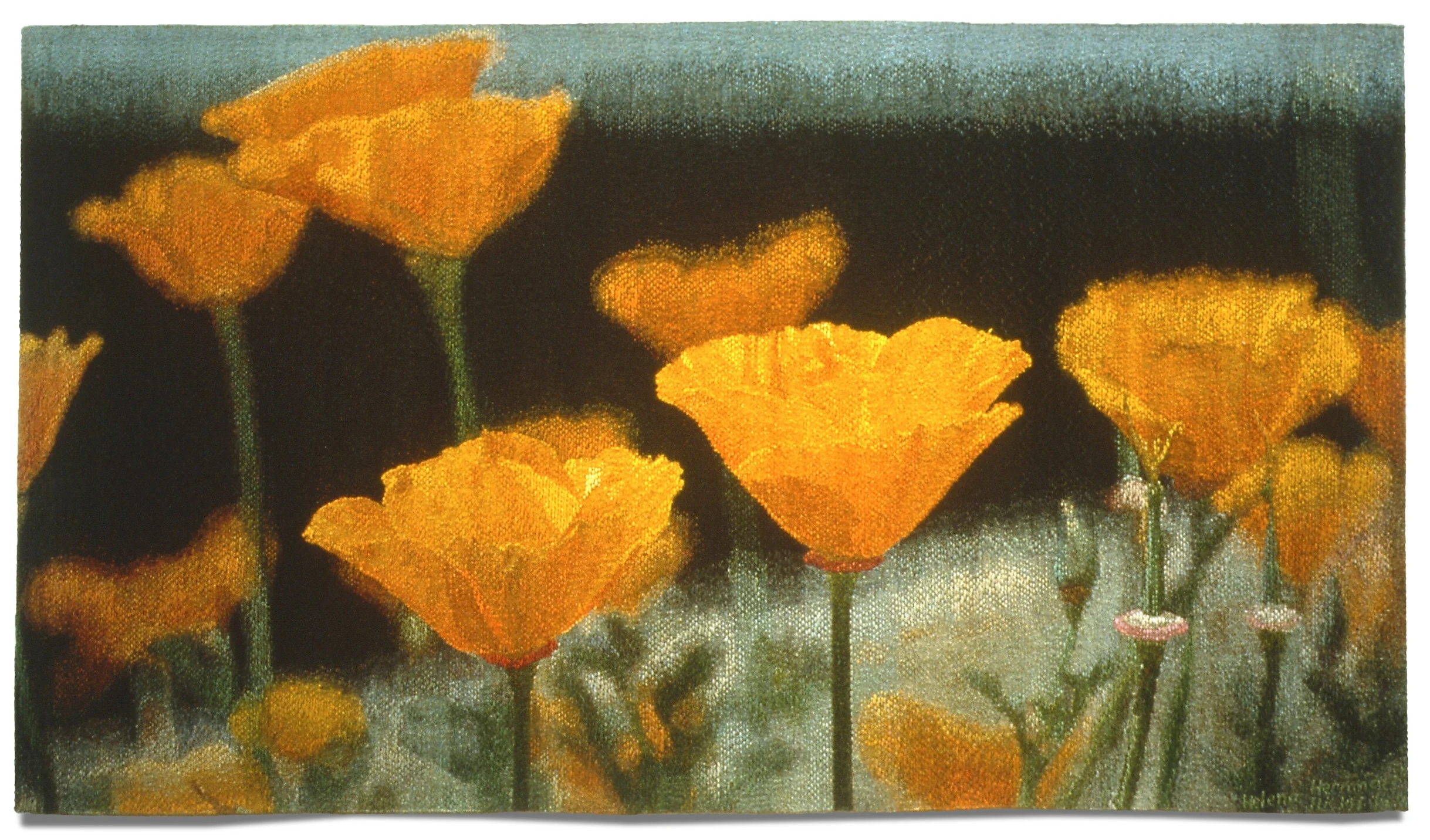 Poppies, 1978. Wool, linen, cotton, 132 x 240 in. Collection of the Cleveland Museum of Art, OH.