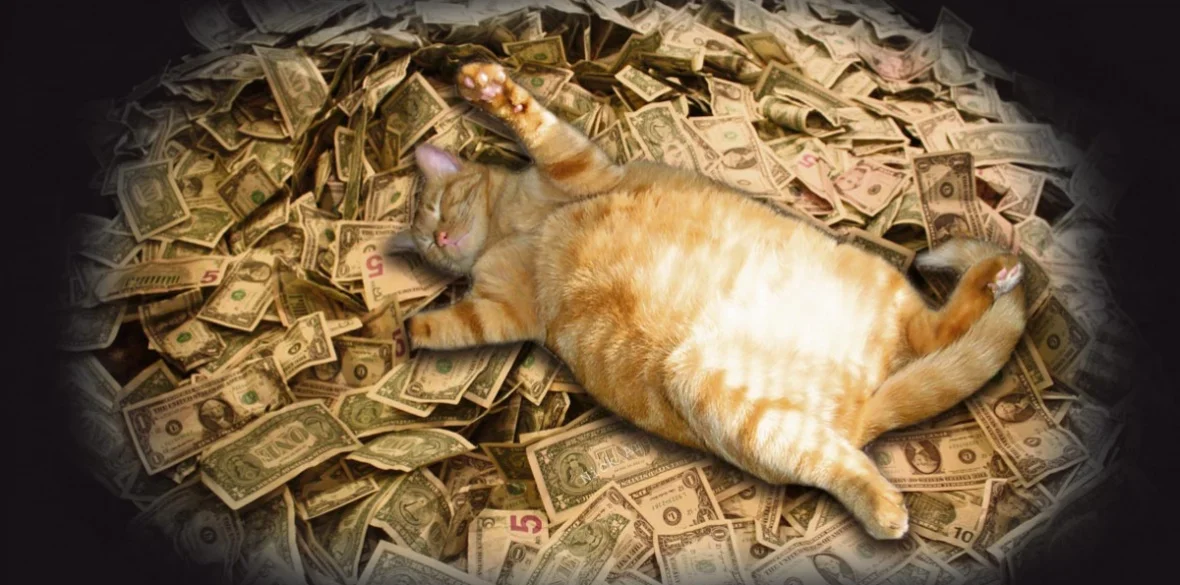 1-Fat-cat-2.jpg