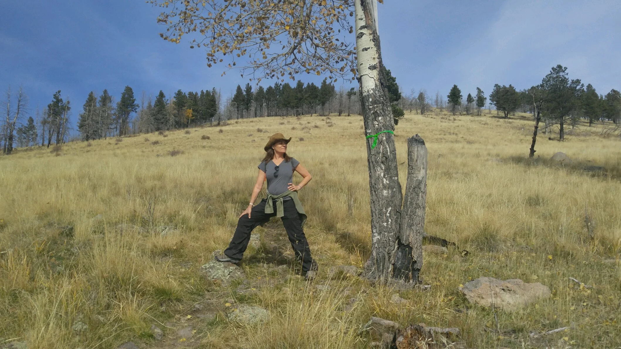 Journey of my Best Life