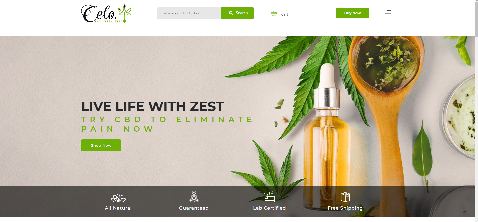 Azeem- Web design examples — Social Society