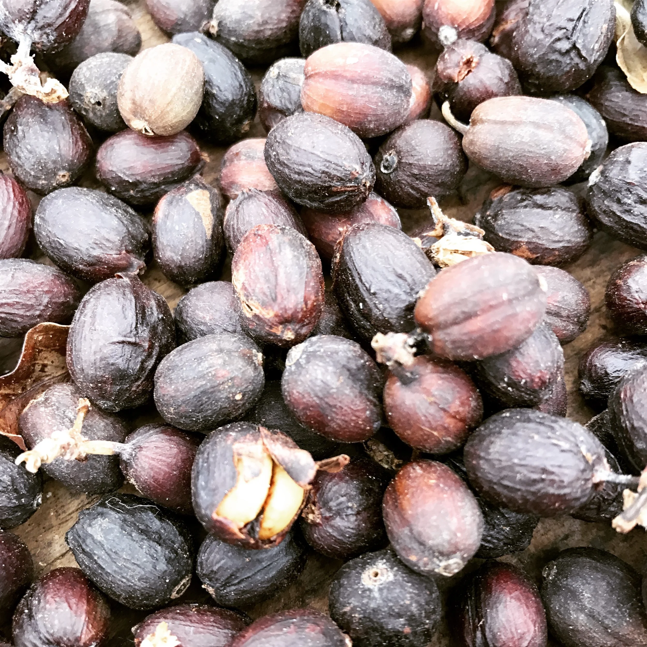 Kona-Coffee-Natural-Process-Real-Hawaii.jpg