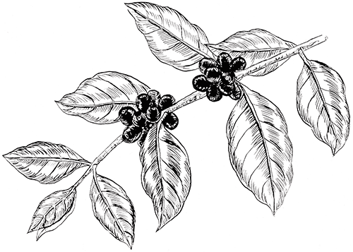 kona-affordable-event-space-weddings-dinner.png