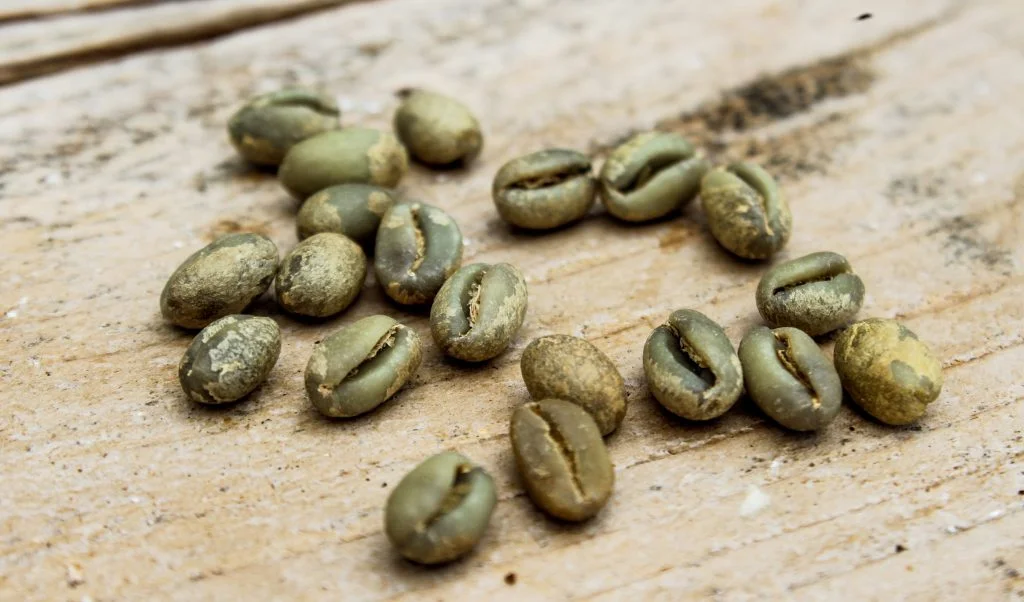 Sunshower Green Coffee