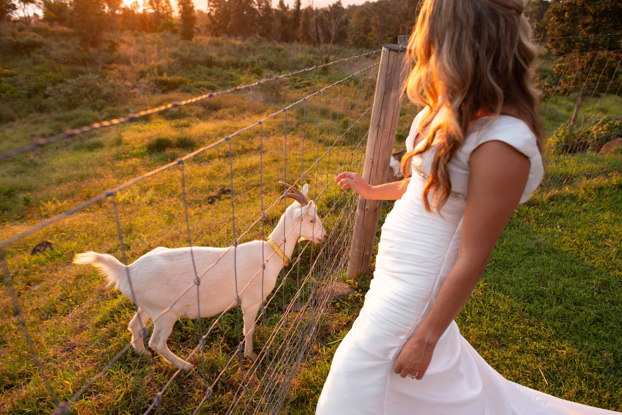 farm wedding venue hawaii