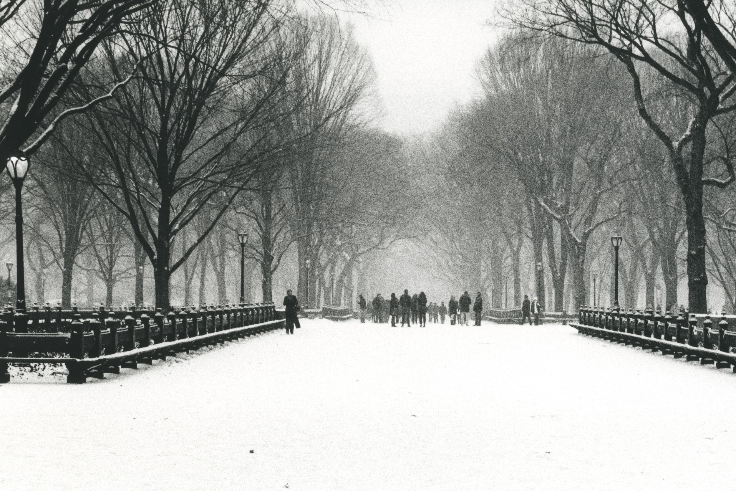 NYC Winter001-2.jpg