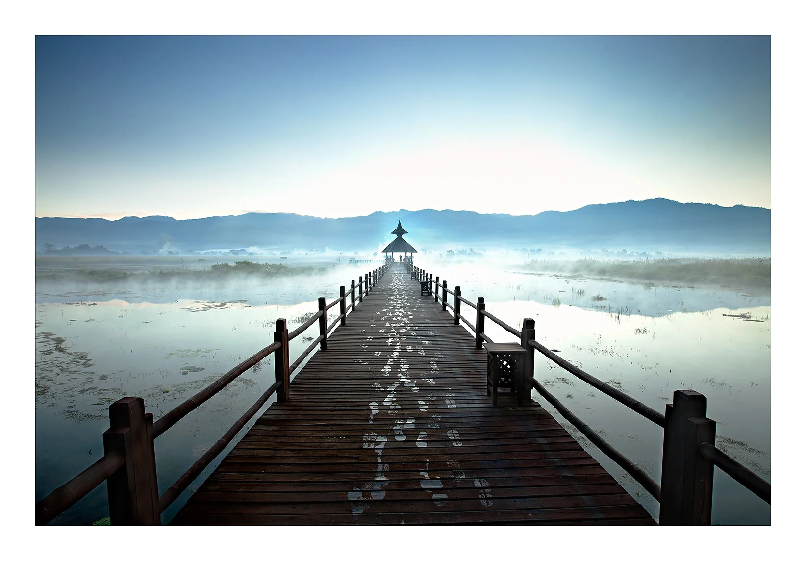 Awakening to the Dawn