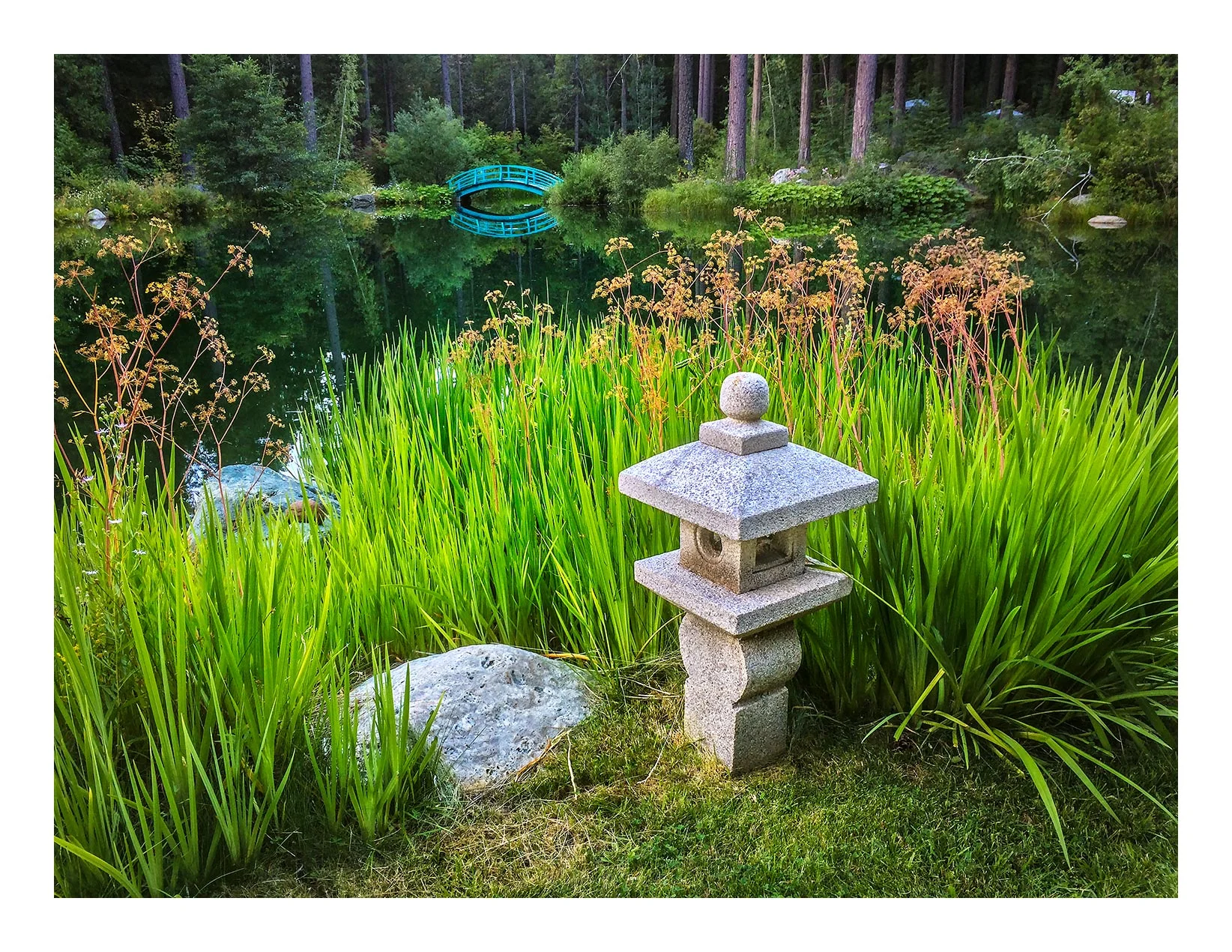 The Lantern & the Bridge