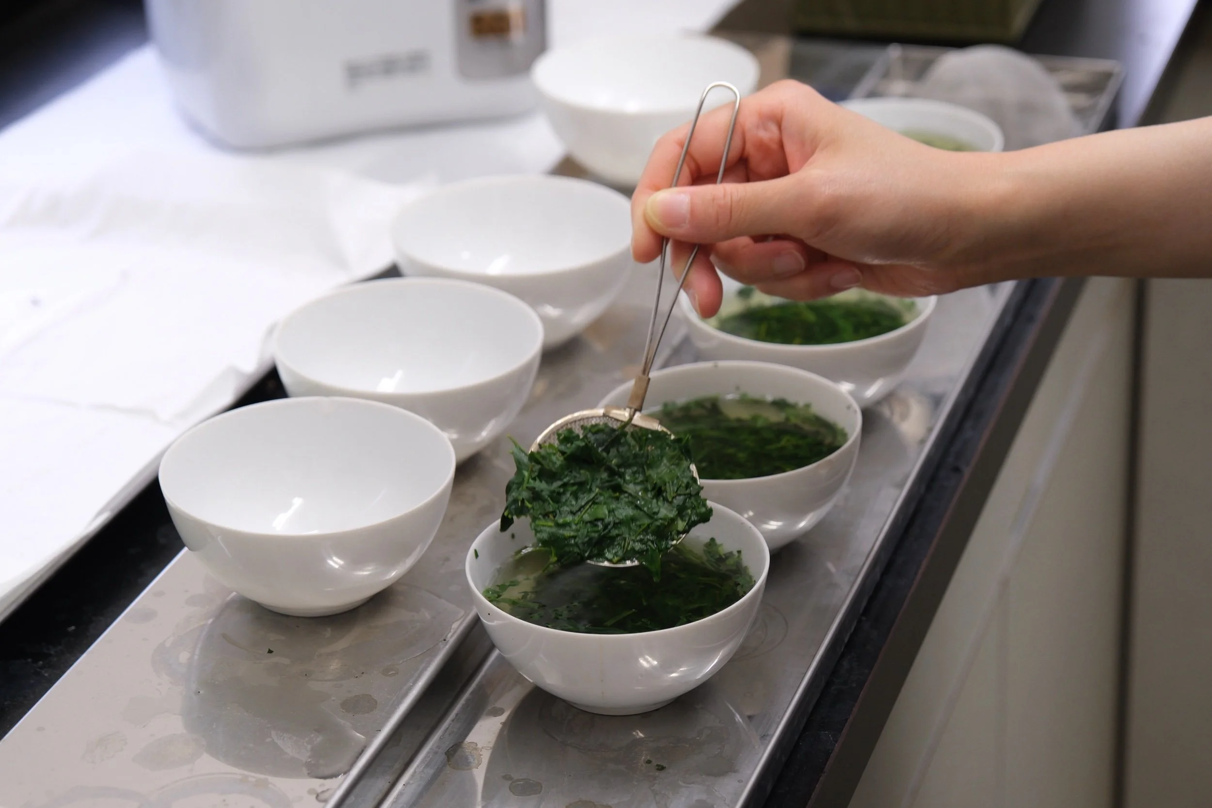 YAME MATCHA - SEIJU 星授 - 20G — CHA-OLOGY お茶とお菓子