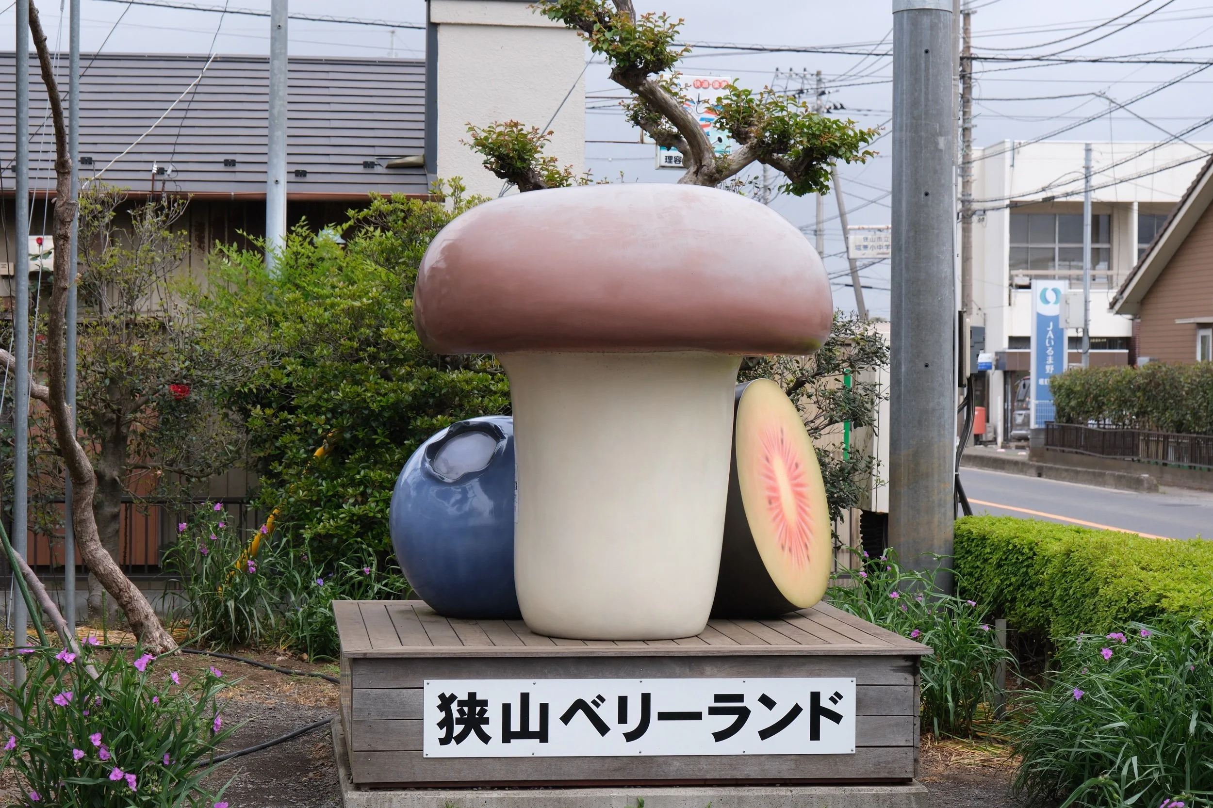 7774297B-EC9B-4D93-ACBE-308B91AE80F5-29538-00001847F97F78AE.jpeg