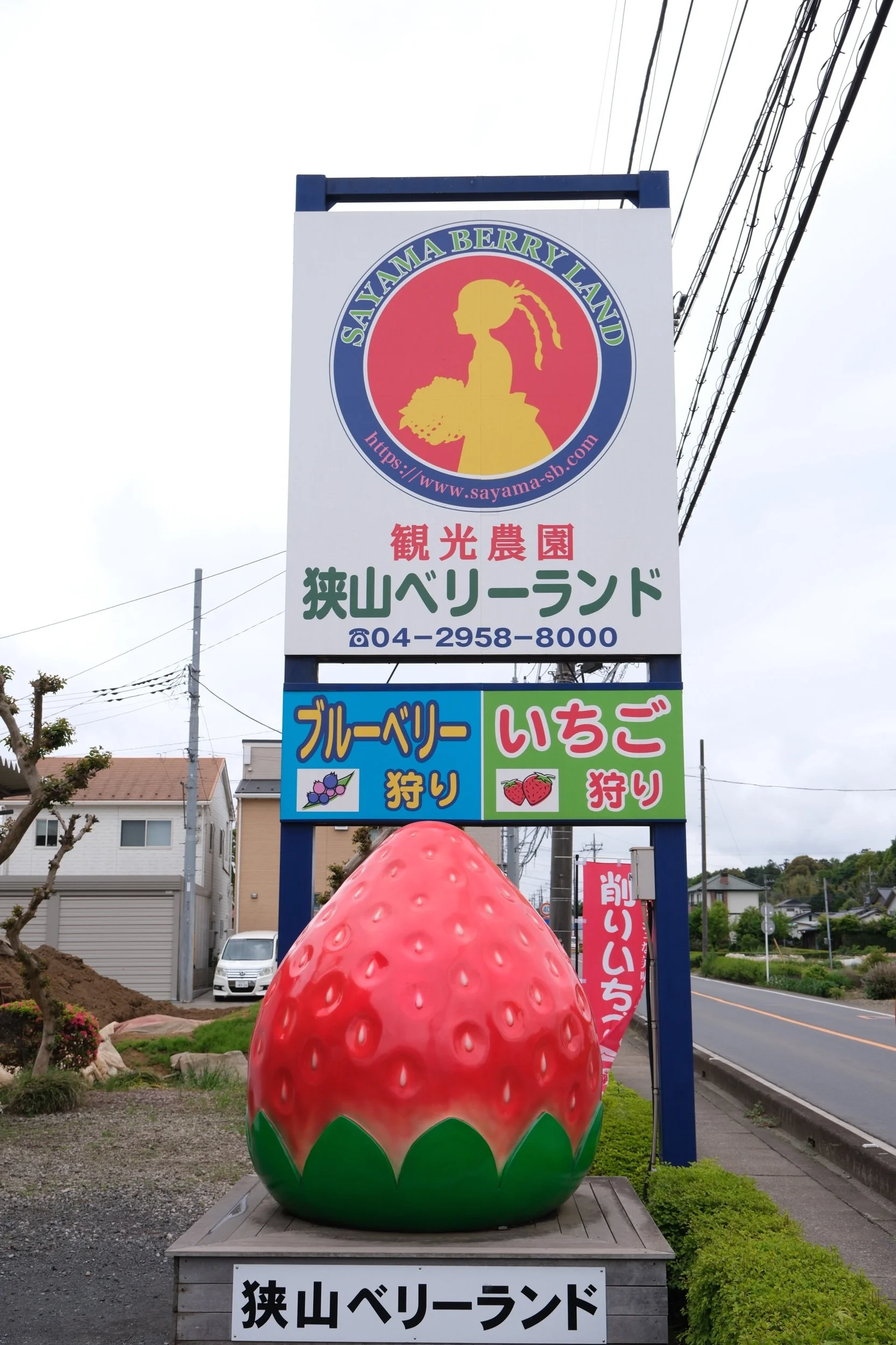 B57B8C63-3717-479E-A446-A3F32B405E45-29538-00001848510B9181.jpeg