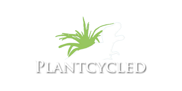 plantcycled-dinosaur-planter-logo.png