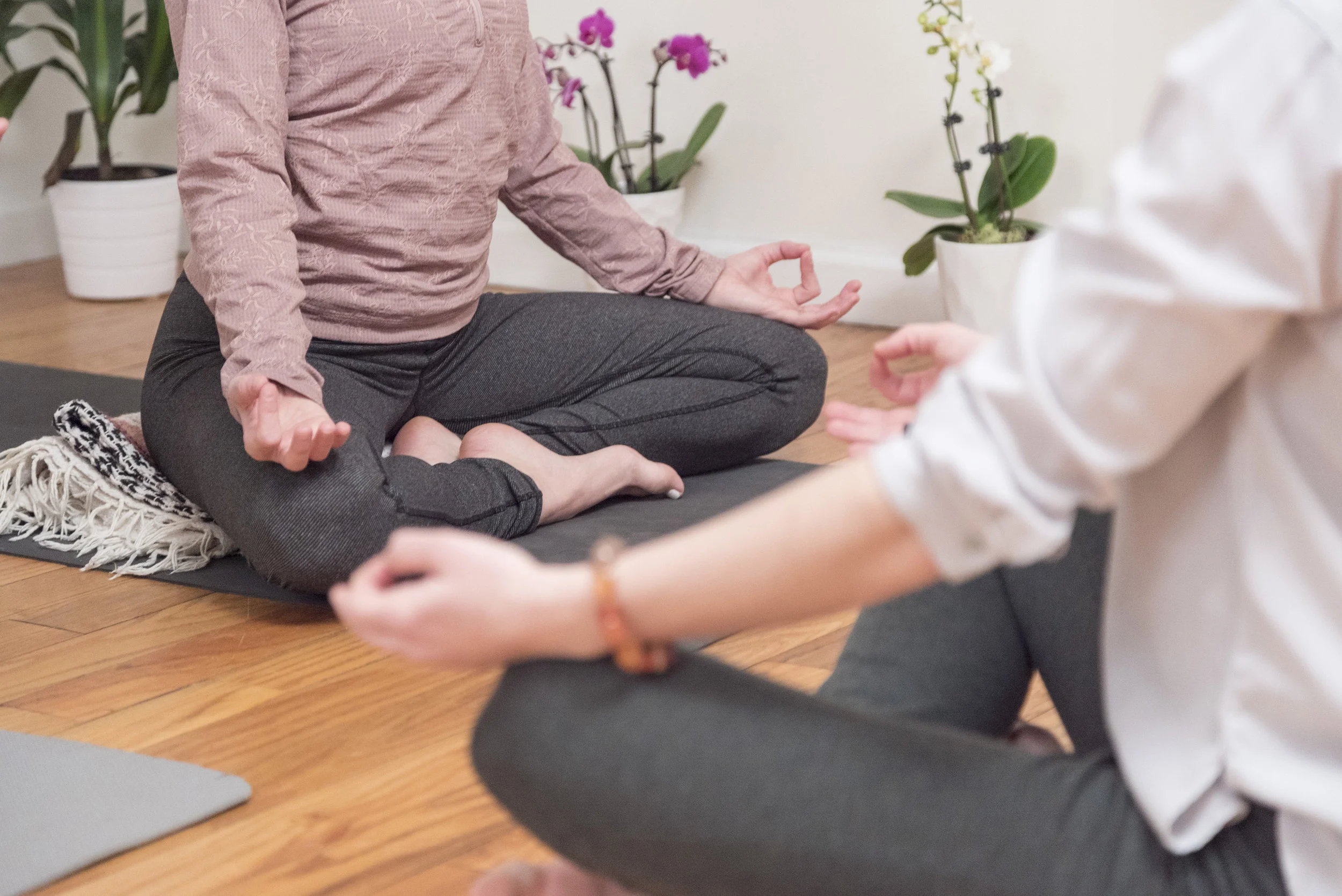 Jnana Meditation.JPG