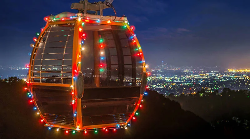 Your Guide to Bay Area Science and Nature Events This Holiday Season