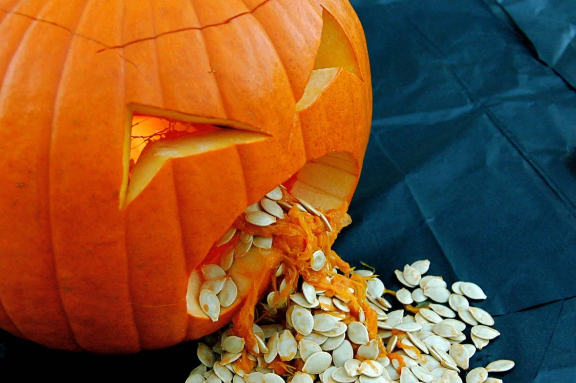 The Real Terror Lurking in Your Drain This Halloween: Pumpkin Guts