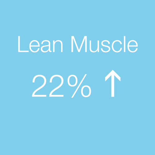 muscle.png